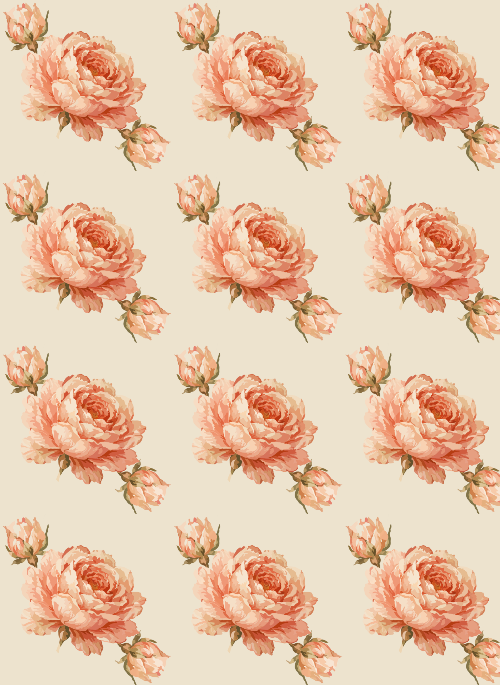 English Rose Coral many repeat.png