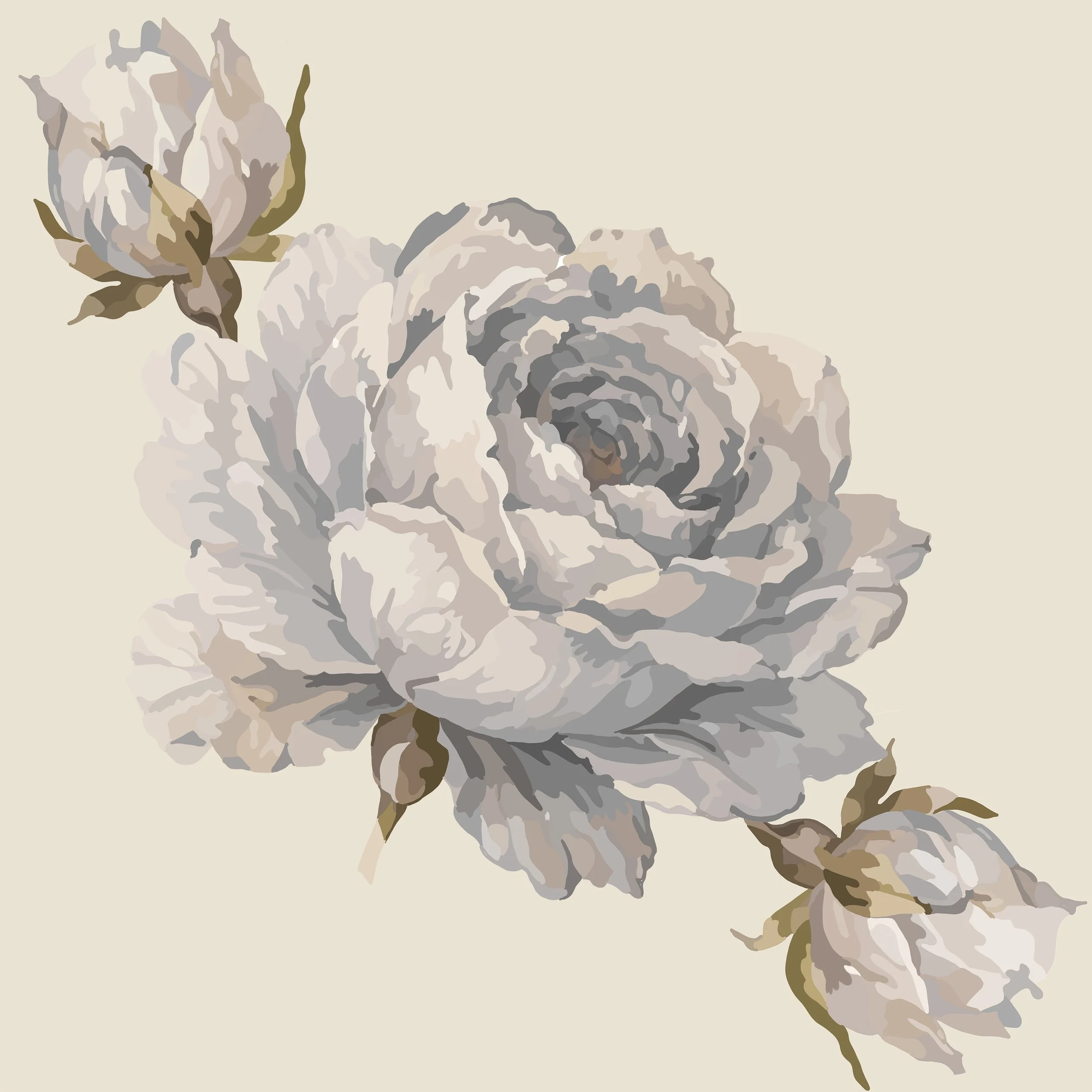 English rose. Misty Blue-12in-300dpi.jpg