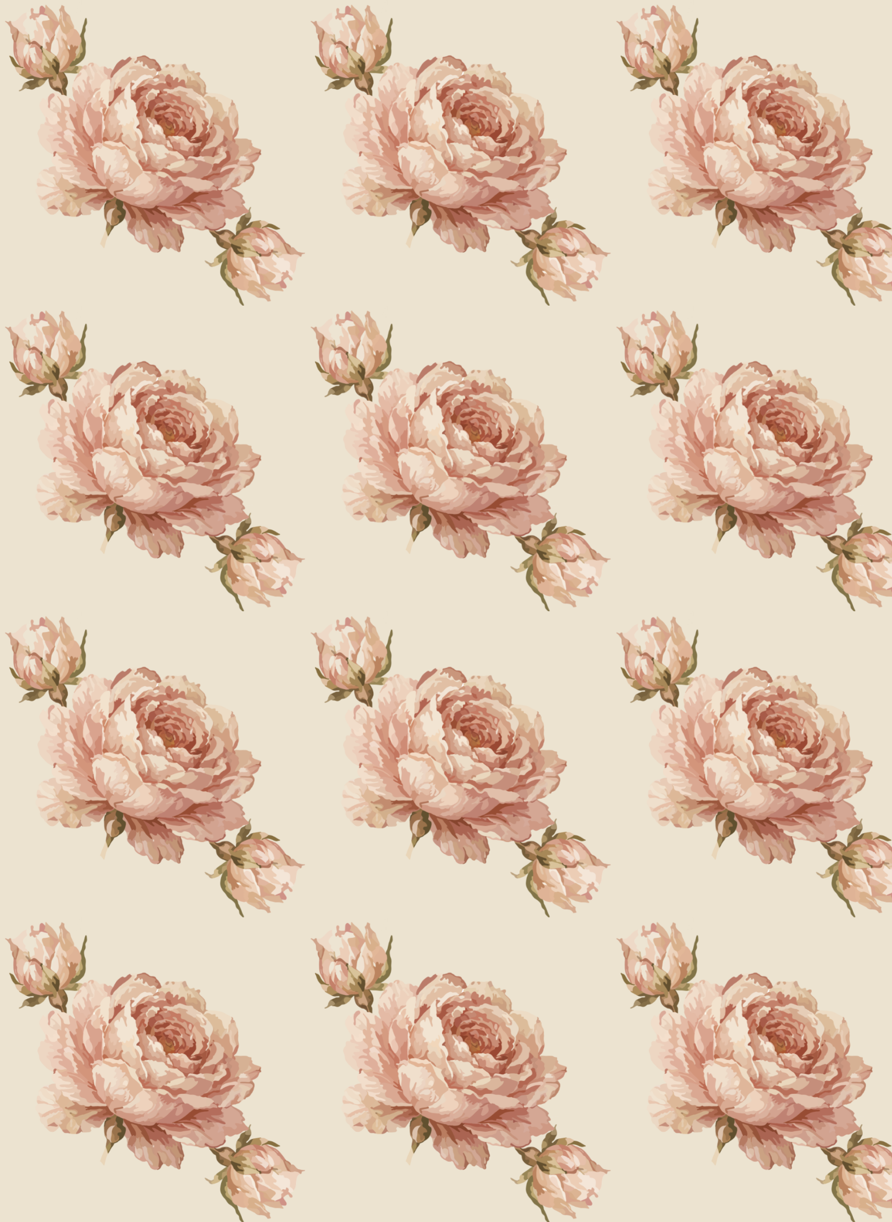 English Rose Blush many repeat.png