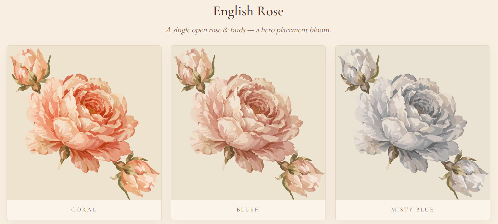 English rose patterns.png