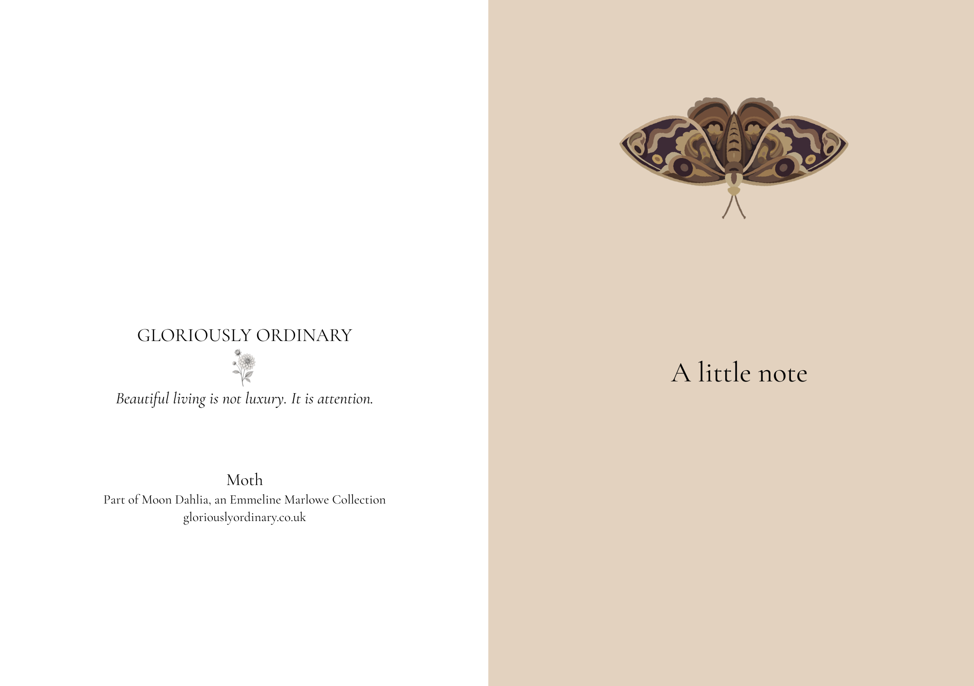 Moth A Little Note card image.png