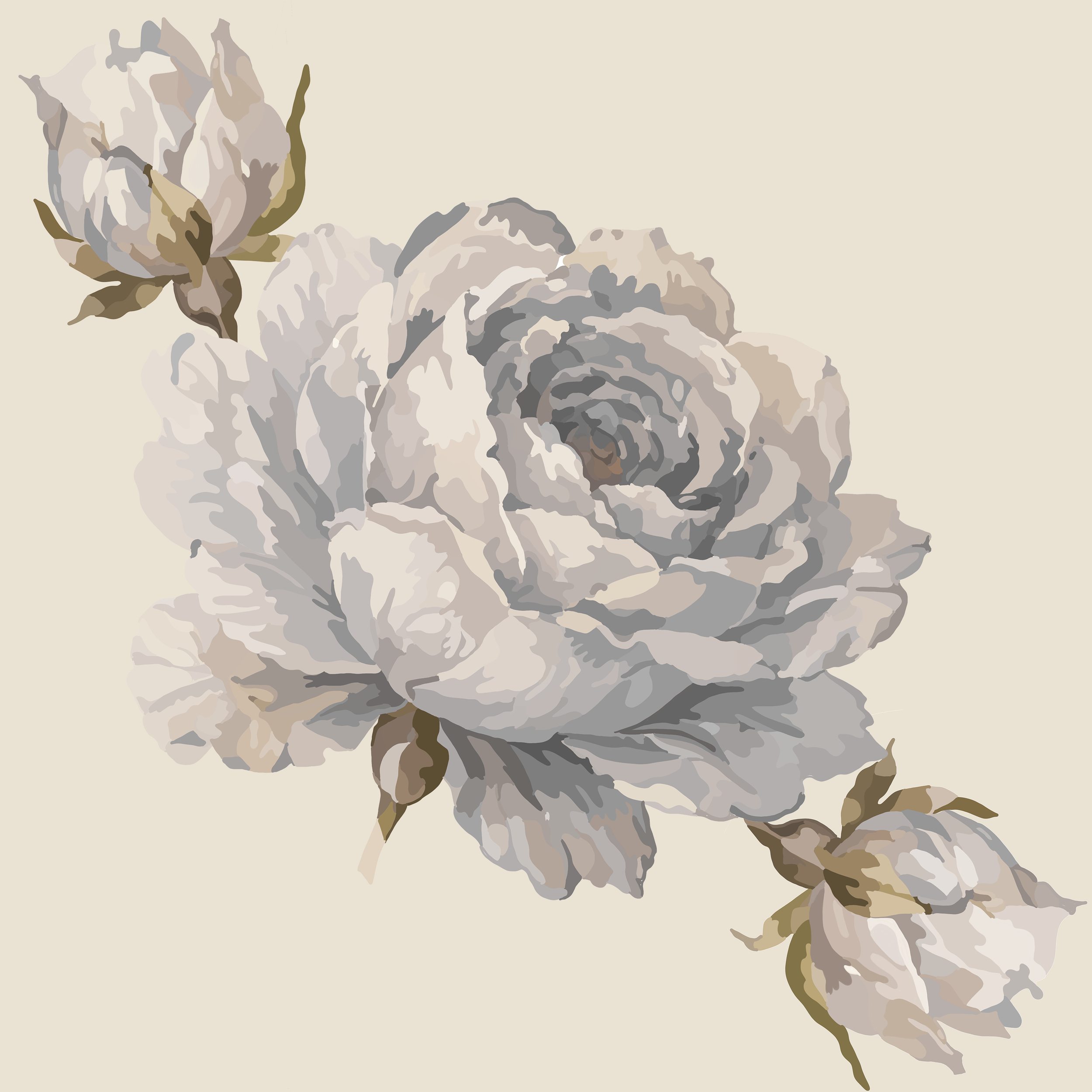 English Rose - Misty Blue
