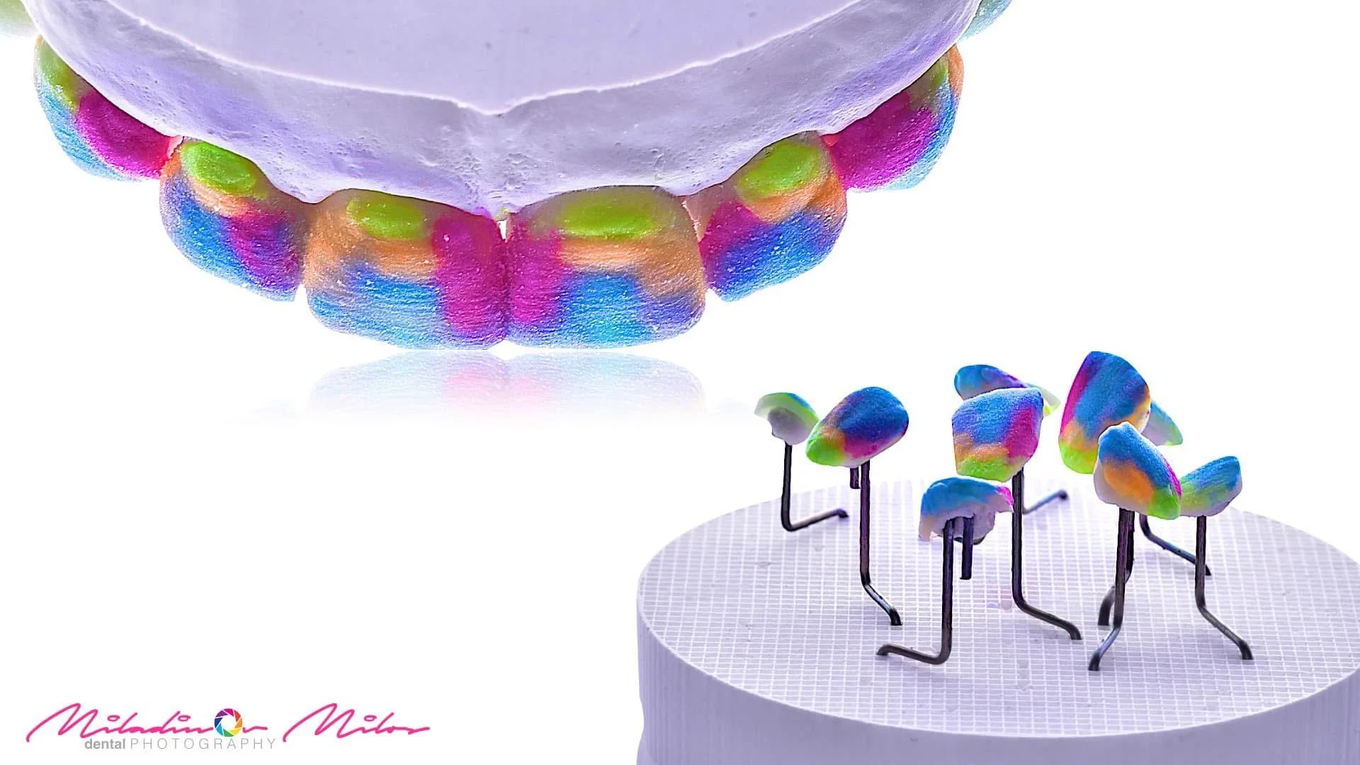 Colorful miniature animals on a white circular platform, with a pastel cake in the background decorated with colorful gummies.
