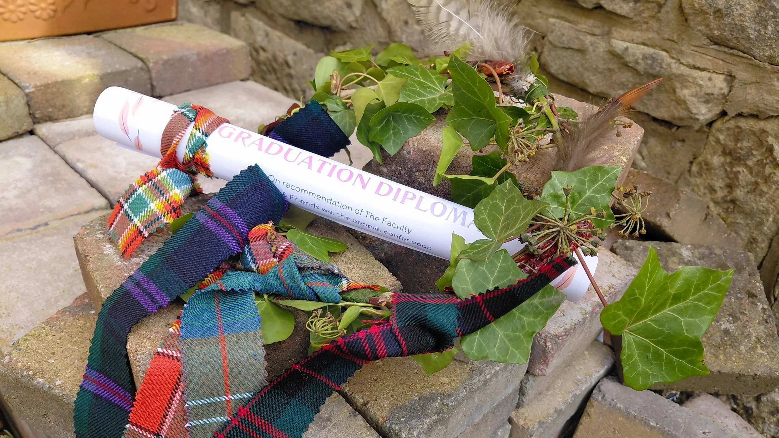Graduation crown of ivy and feathers with diploma and tartan ribbons