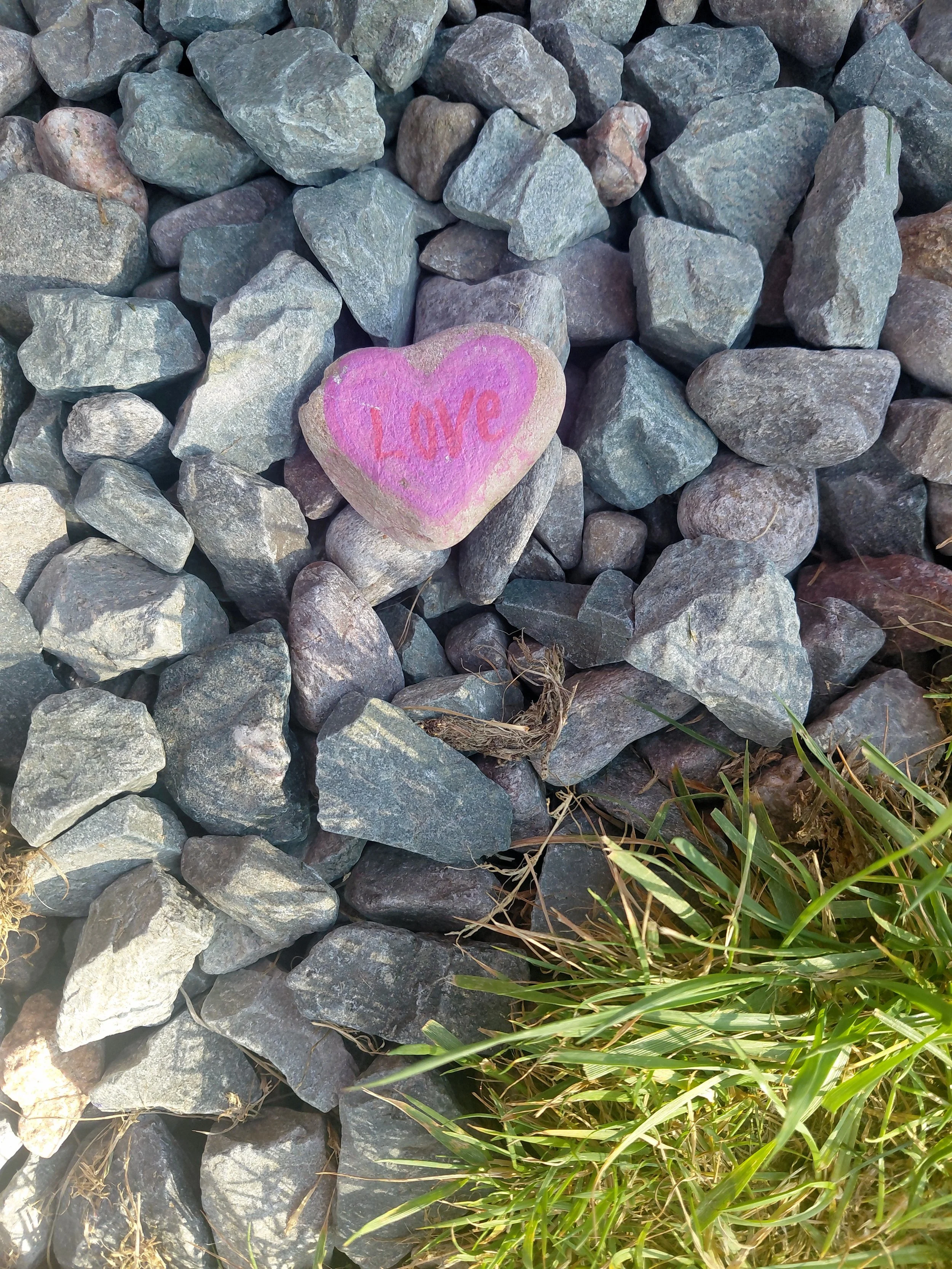 Someone Left Love on Our Pitch