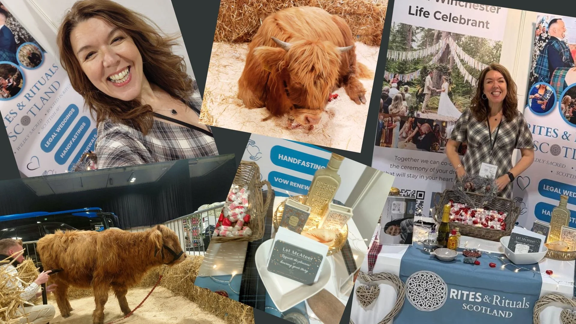 Montage of images of Brenda the Highland Cow and Lel at The Scottish Wedding Show