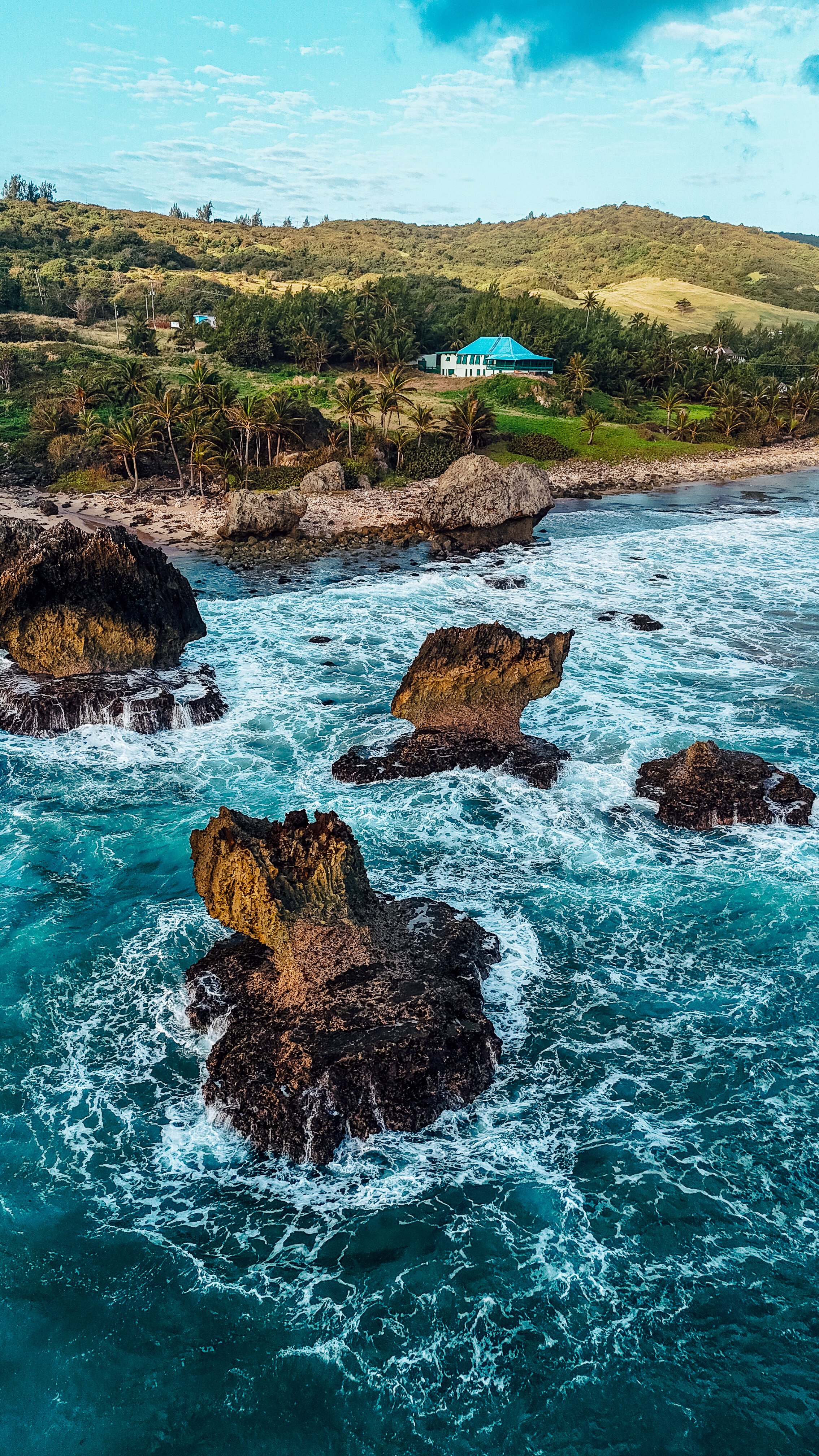 Barbados_Drone_UGC_Portrait_East_Coast_Bathsheba_1.jpg