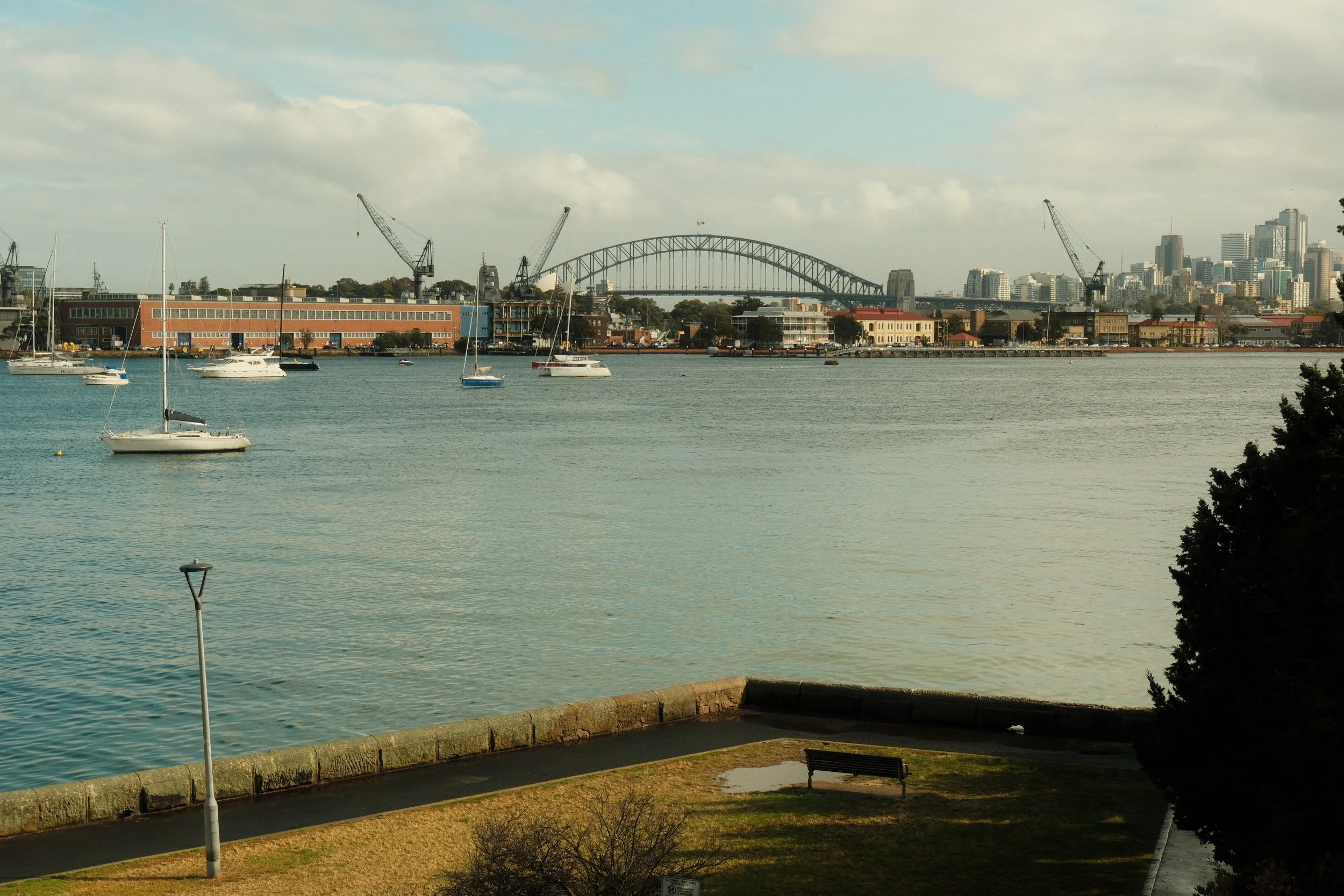 DSCF2638.jpg