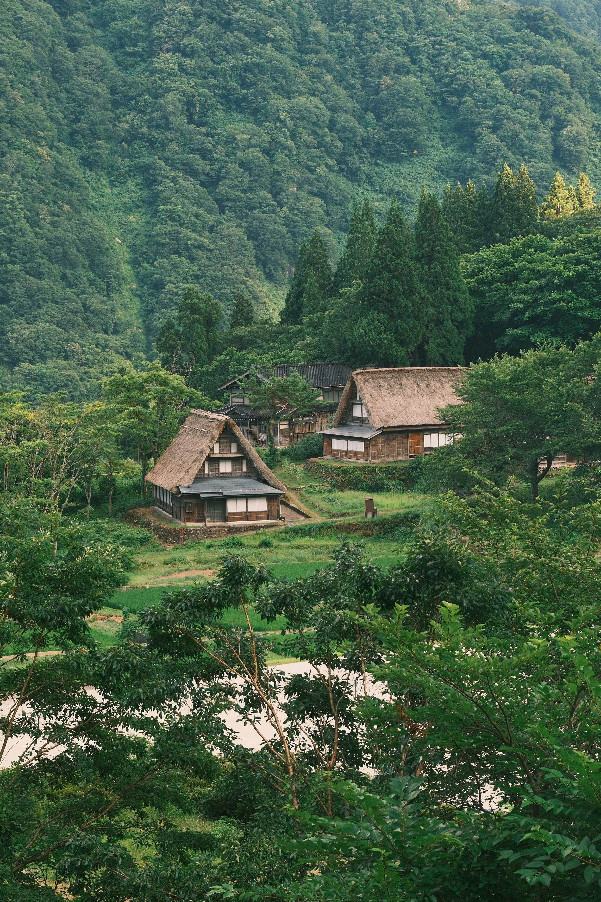Ainokura UGC 8.JPG