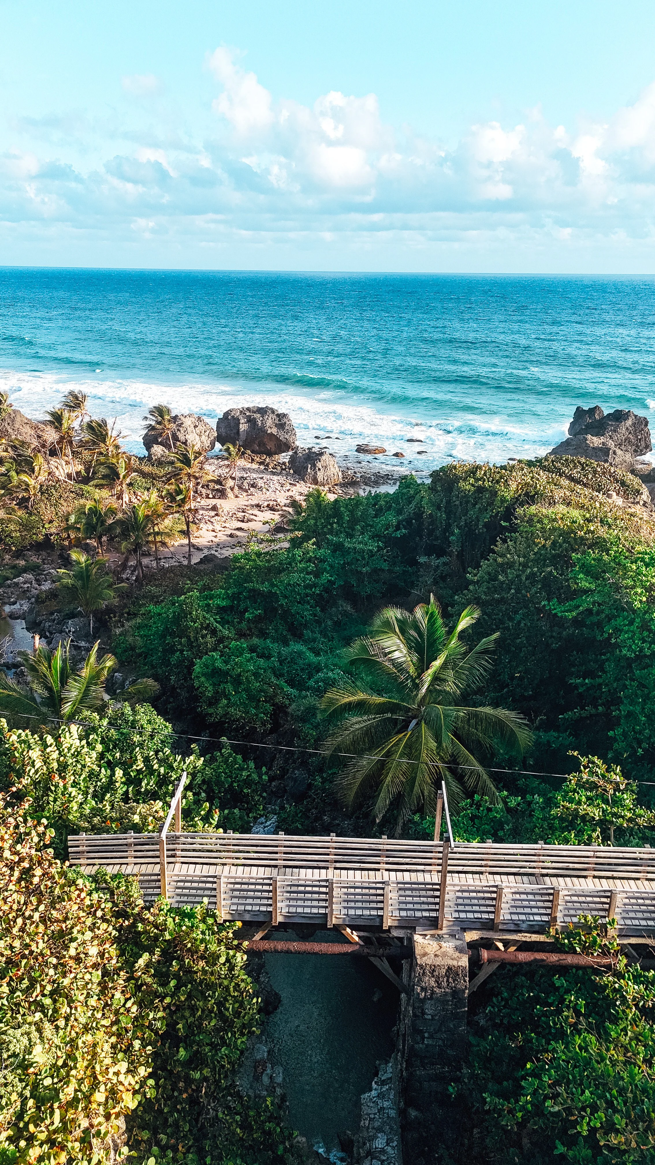 Barbados_Drone_UGC_Portrait_East_Coast_Joes_River.jpg