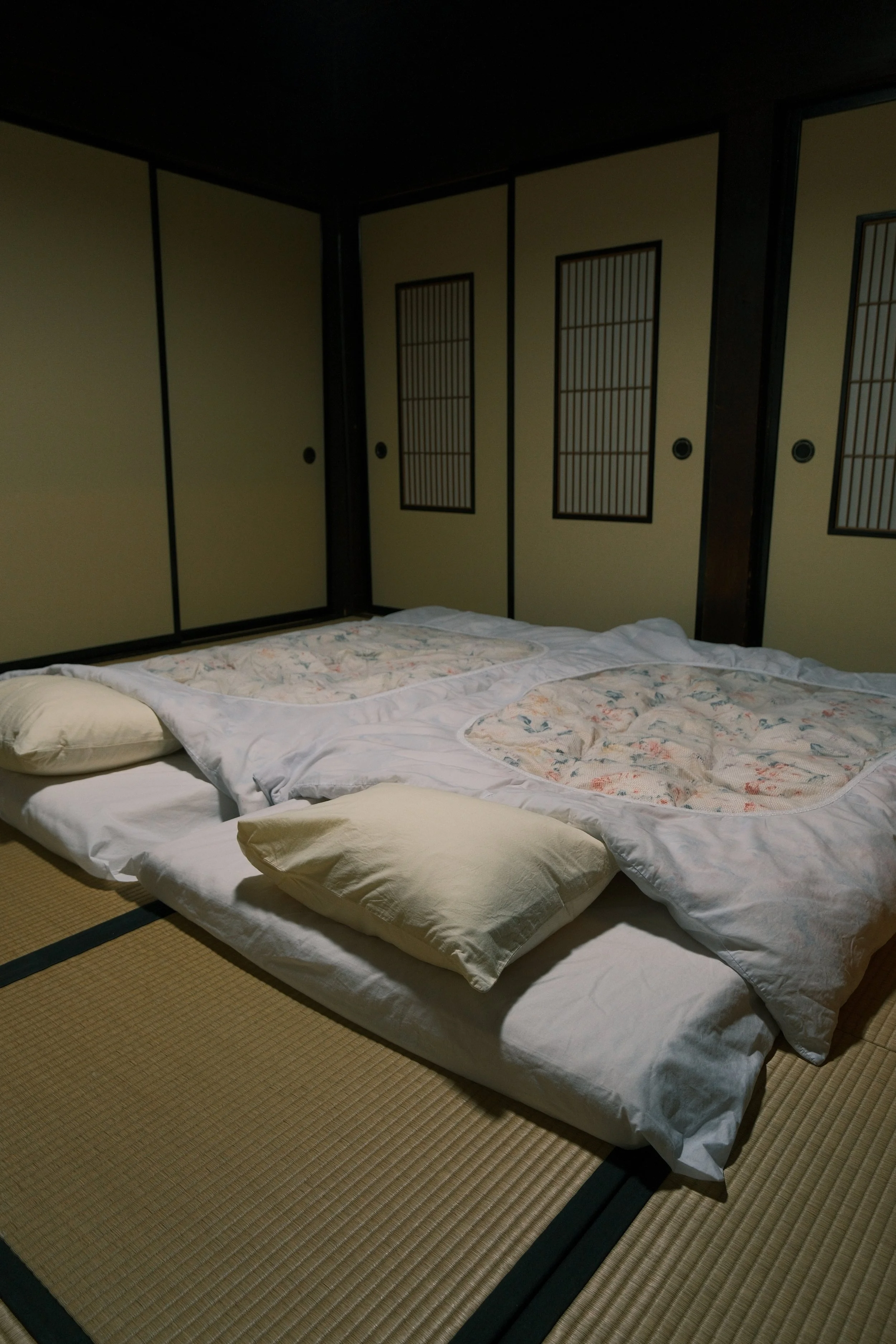 Ainokura UGC 1.JPG