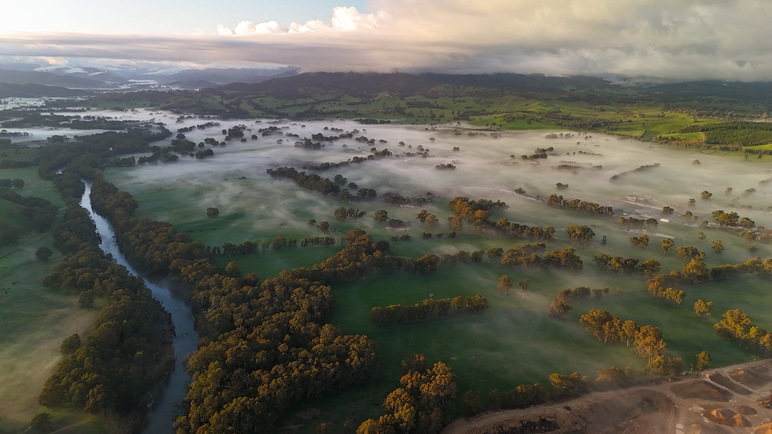 Australia Bowmans Forest Landscape.jpg