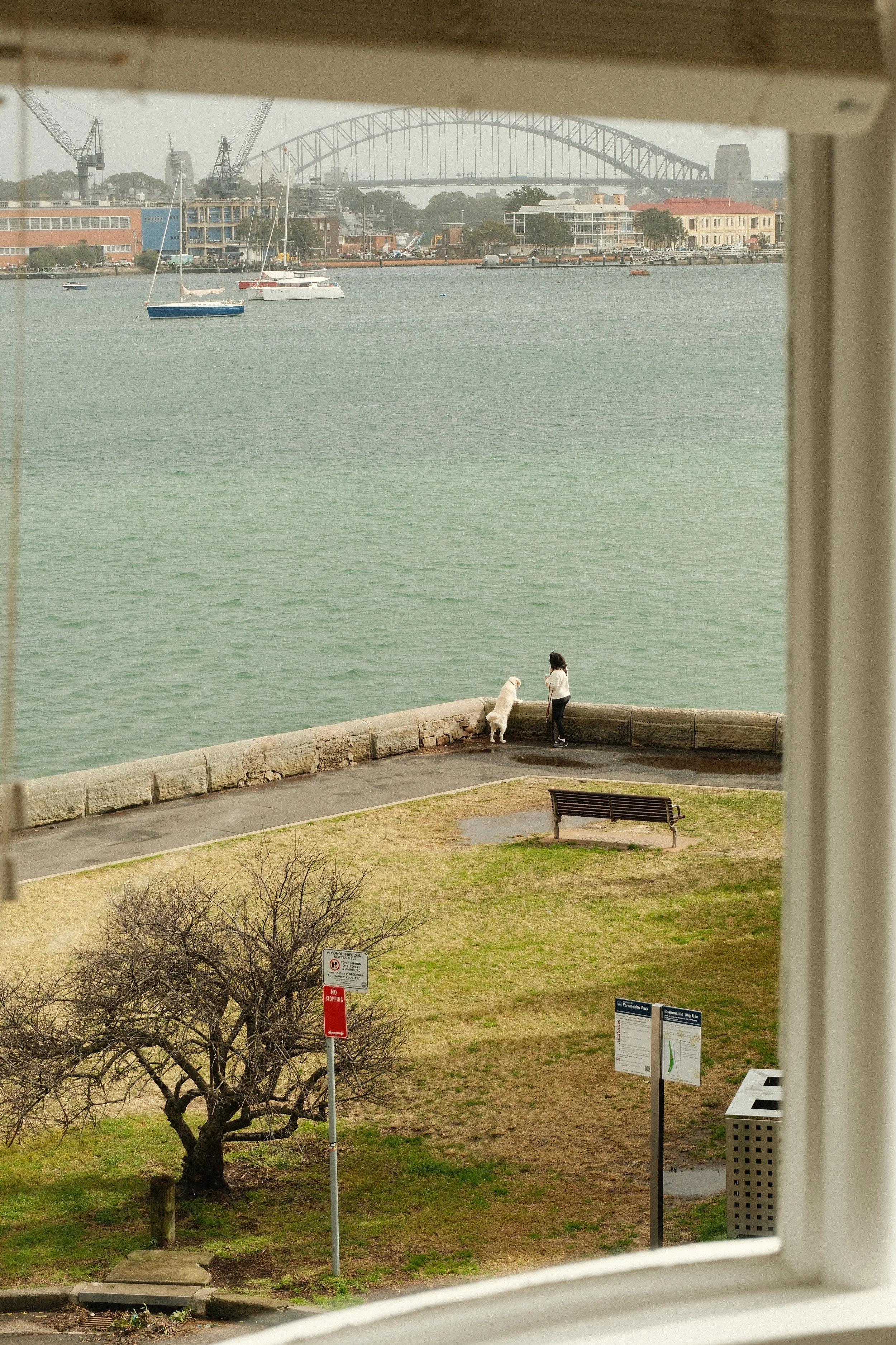 DSCF2764.jpg