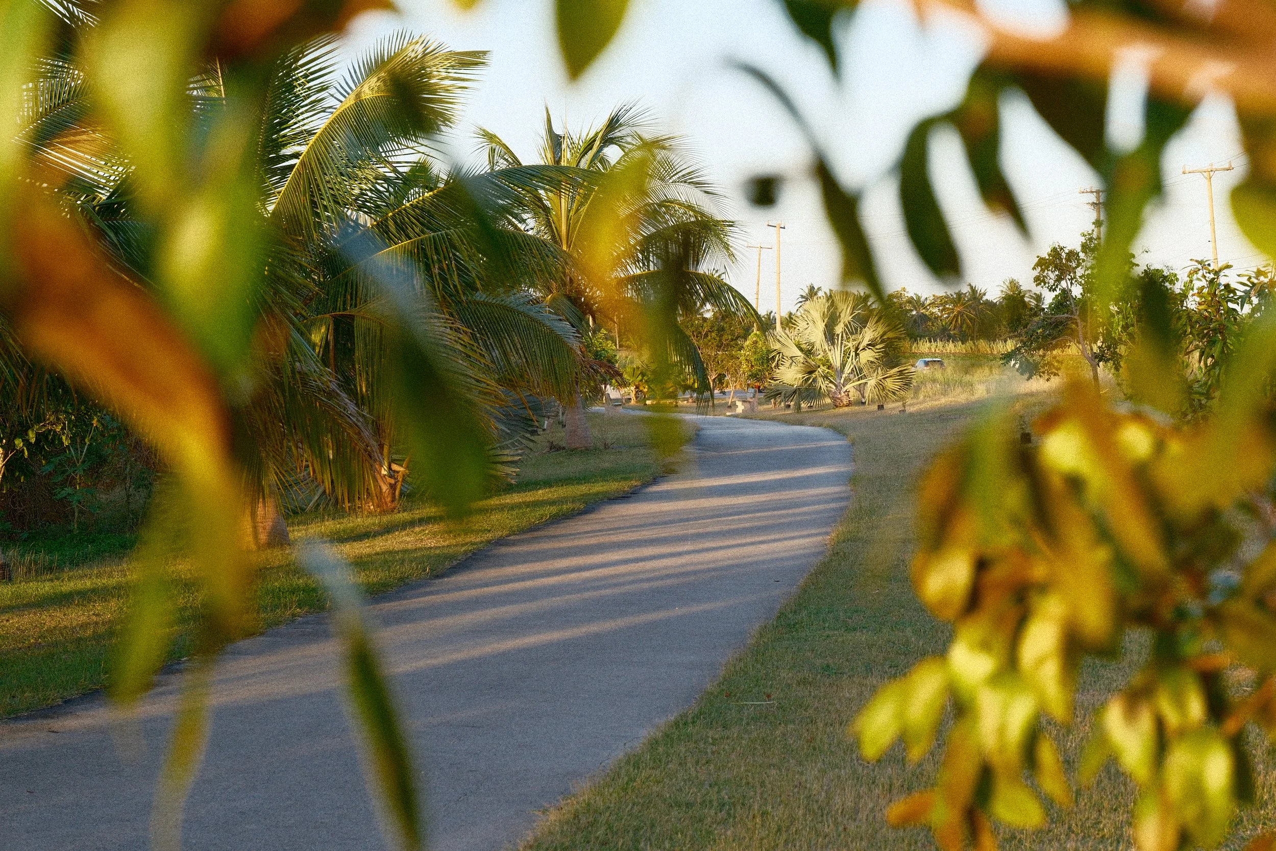 DSCF0940.JPG