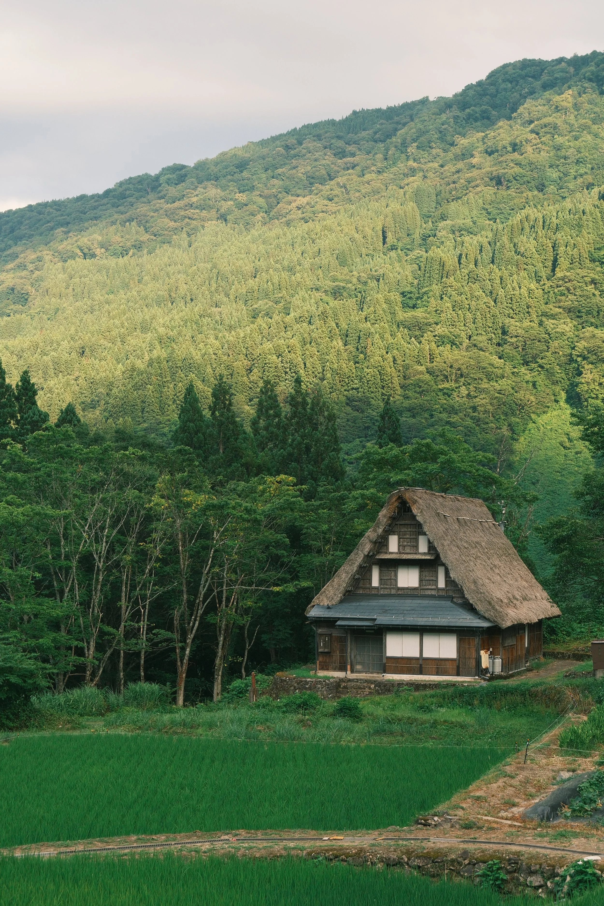 Ainokura UGC 11.JPG