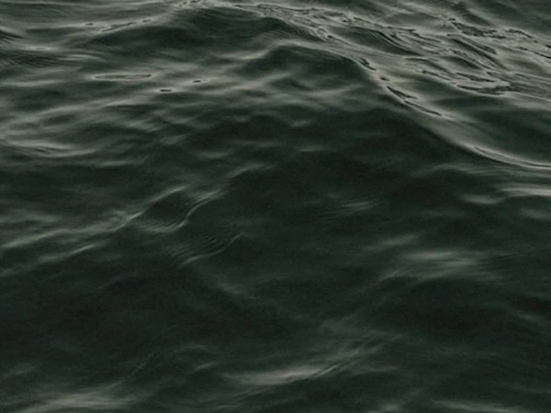file1554.png