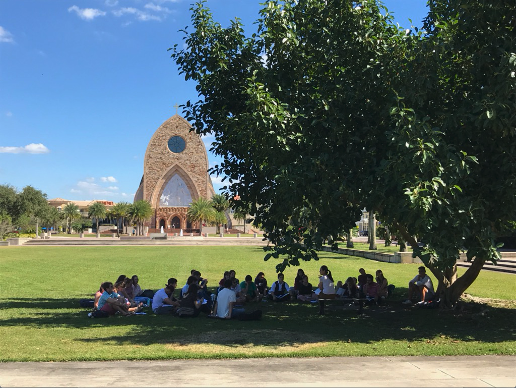 A group of people sitting under a large tree in a park with a church in the background.