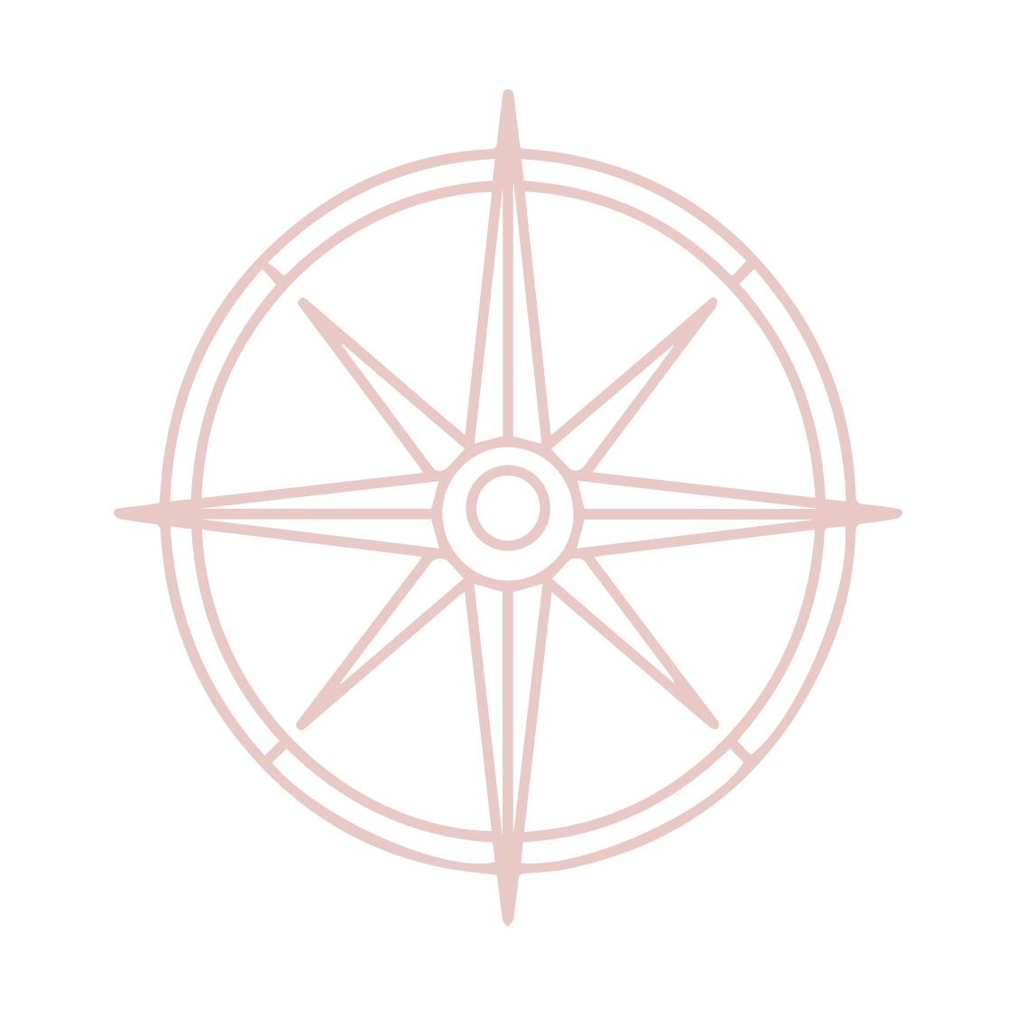 Pink outline of a compass rose with a central circle, on a black background.