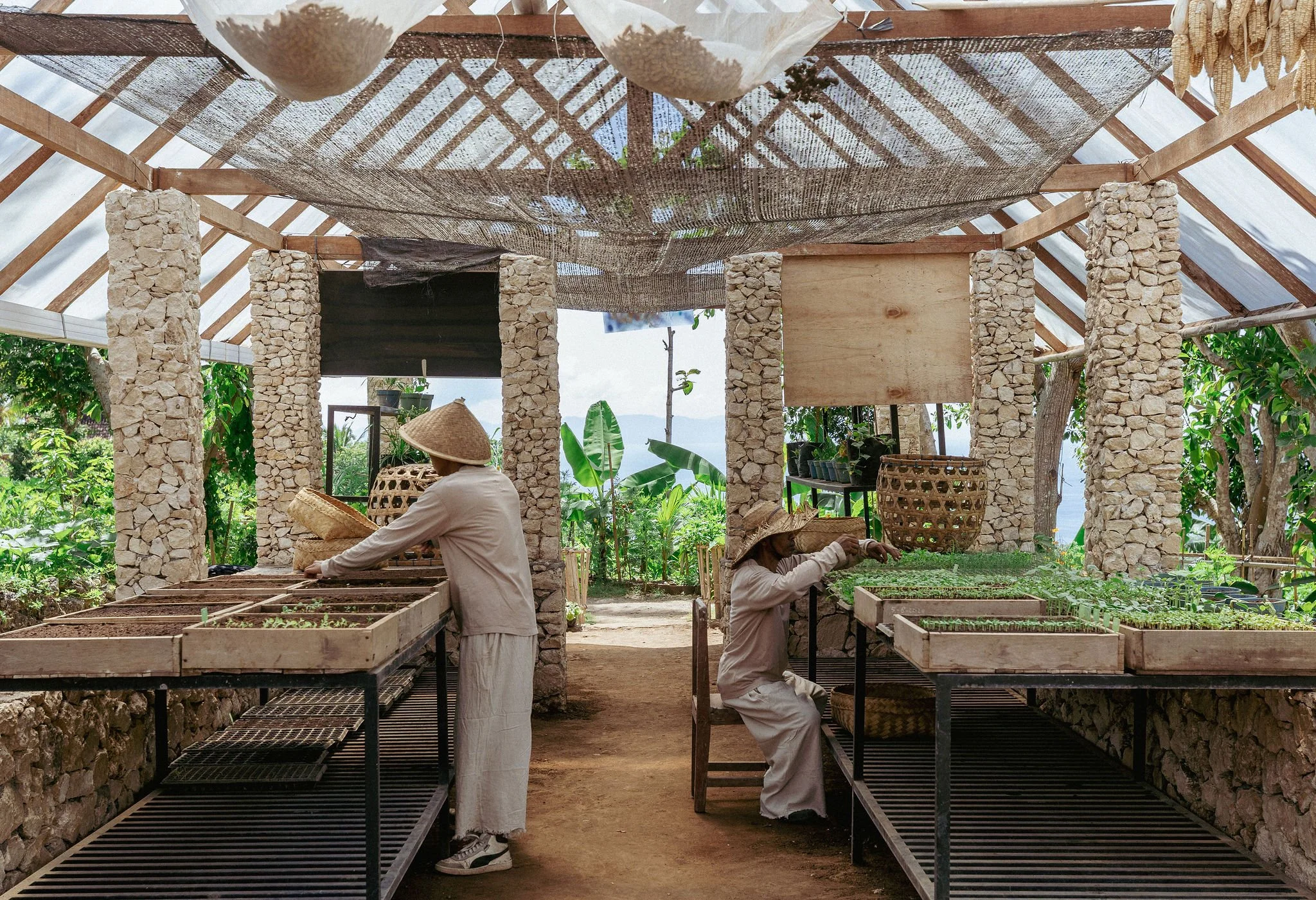PermacultureFarm7.jpg