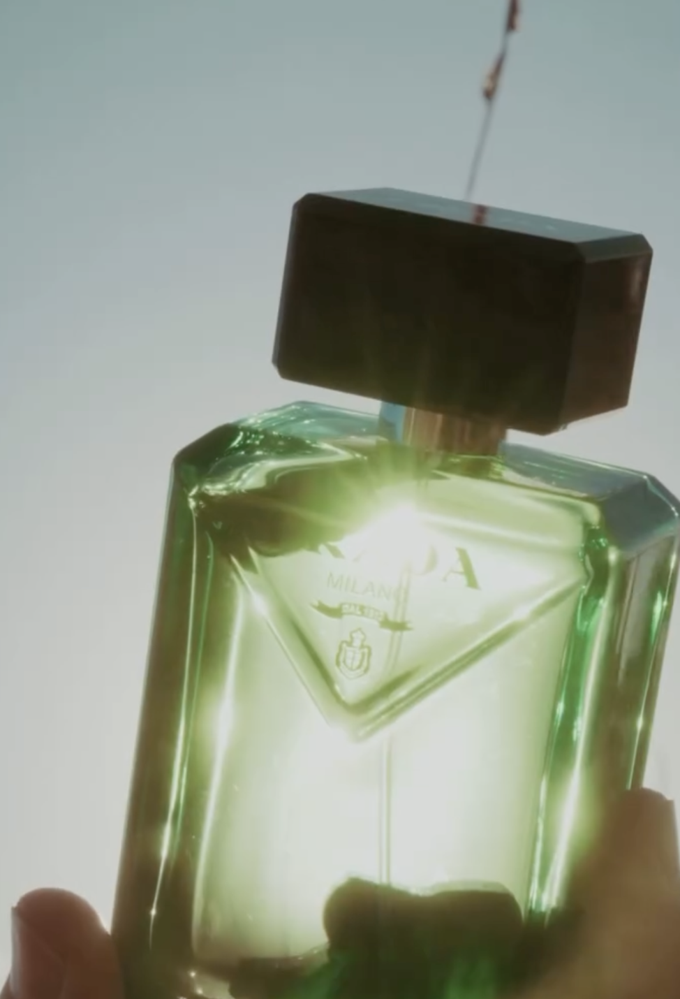 PRADA BEAUTY — PARADIGME