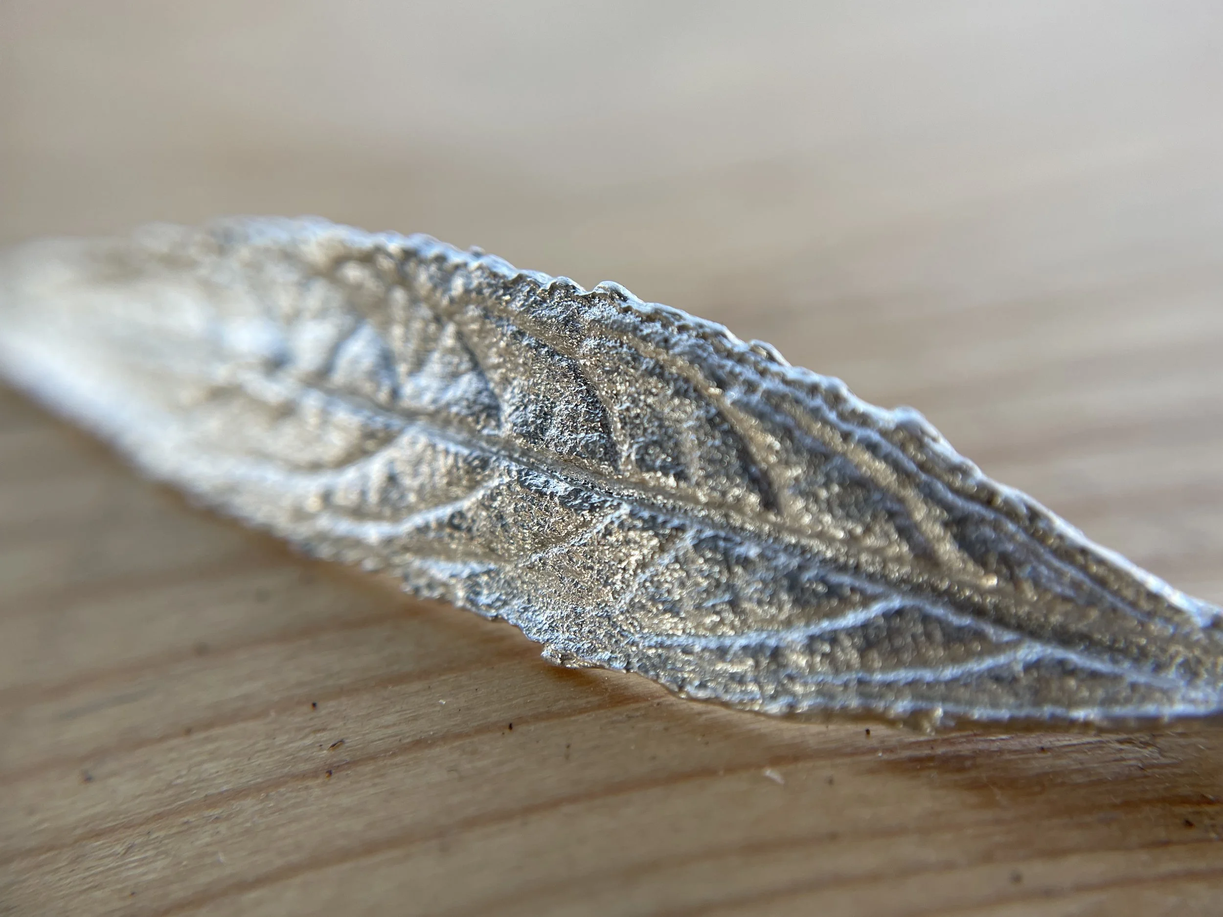 Buddleia-Leaf-Detail.jpg