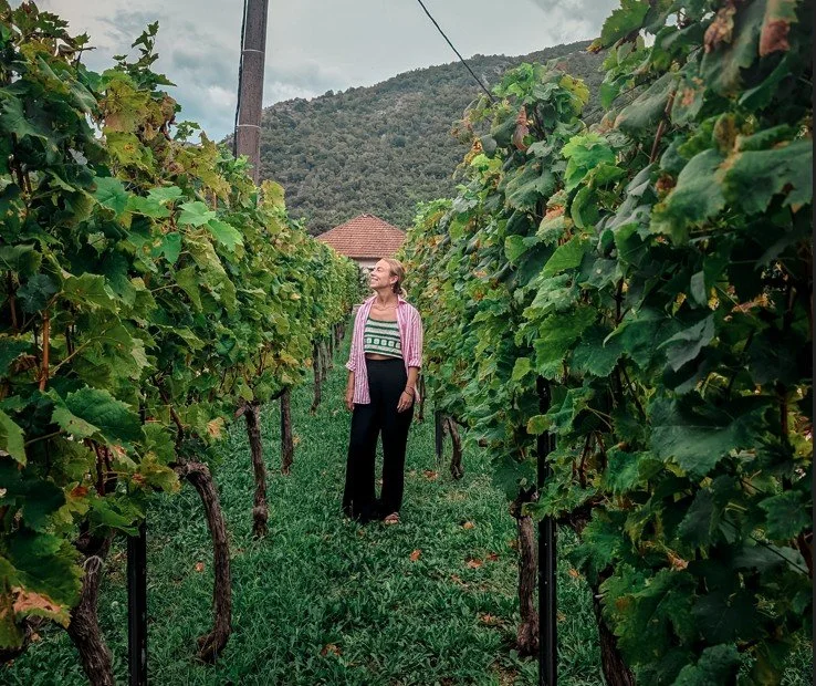 montenegro winery