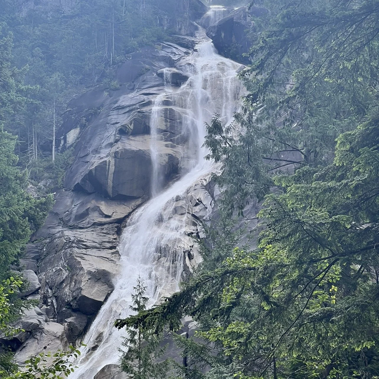 Shannon Falls