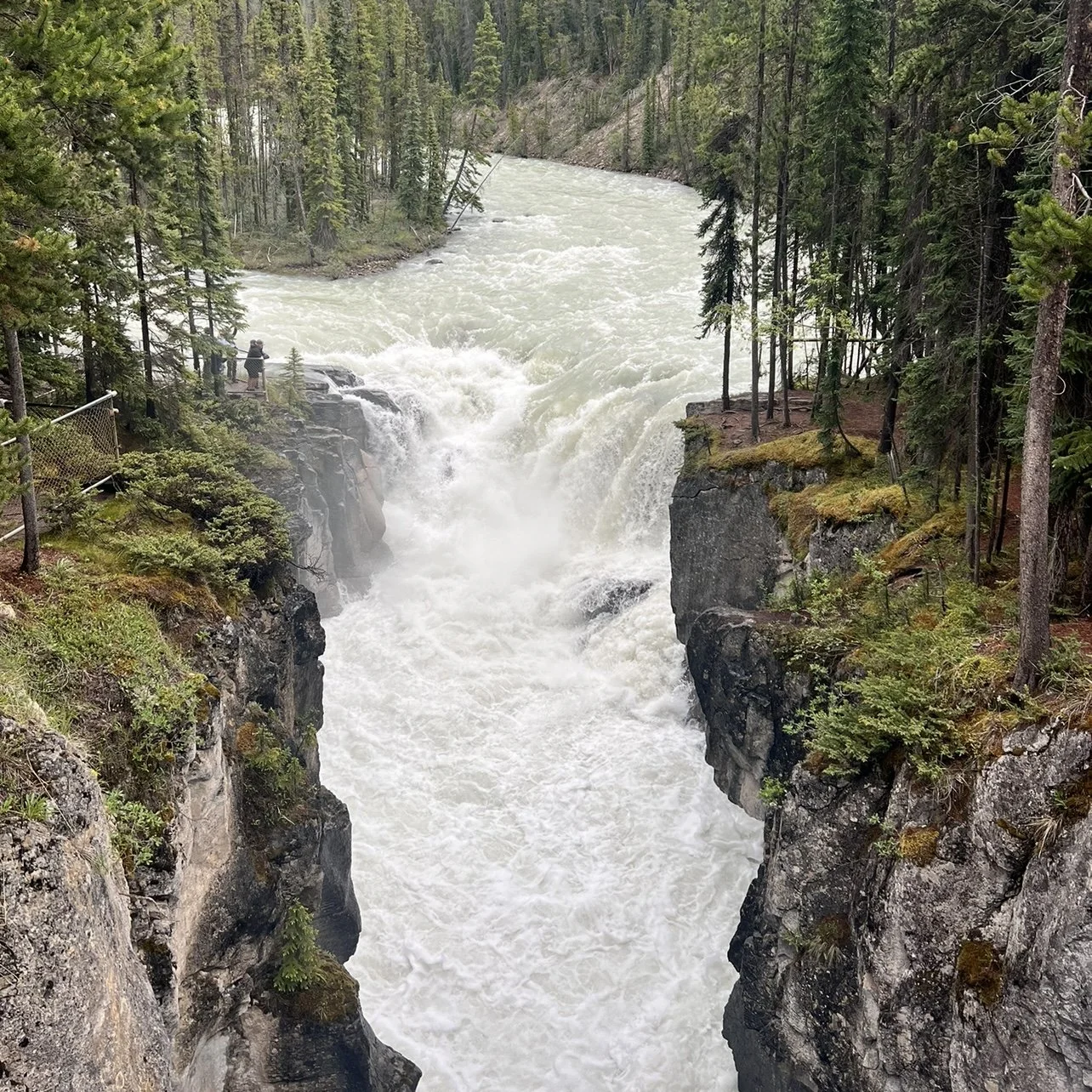 Sunwapta Falls
