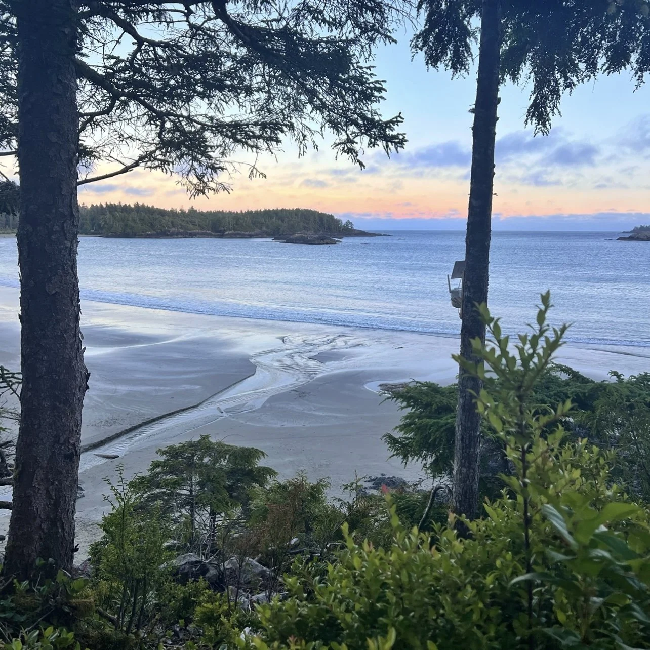 Middle Beach Tofino