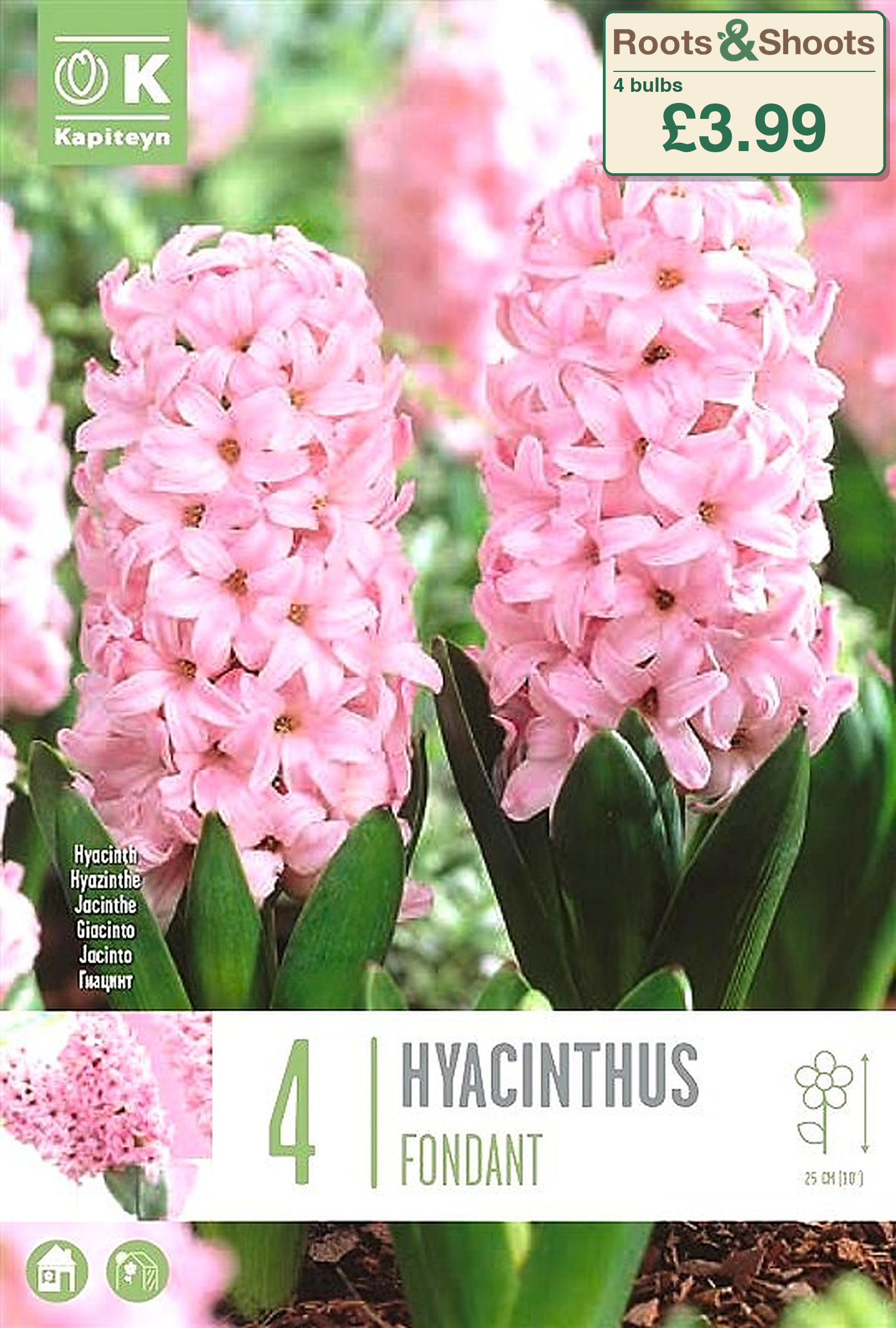 601025 - Hyacinthus - FONDANT.png