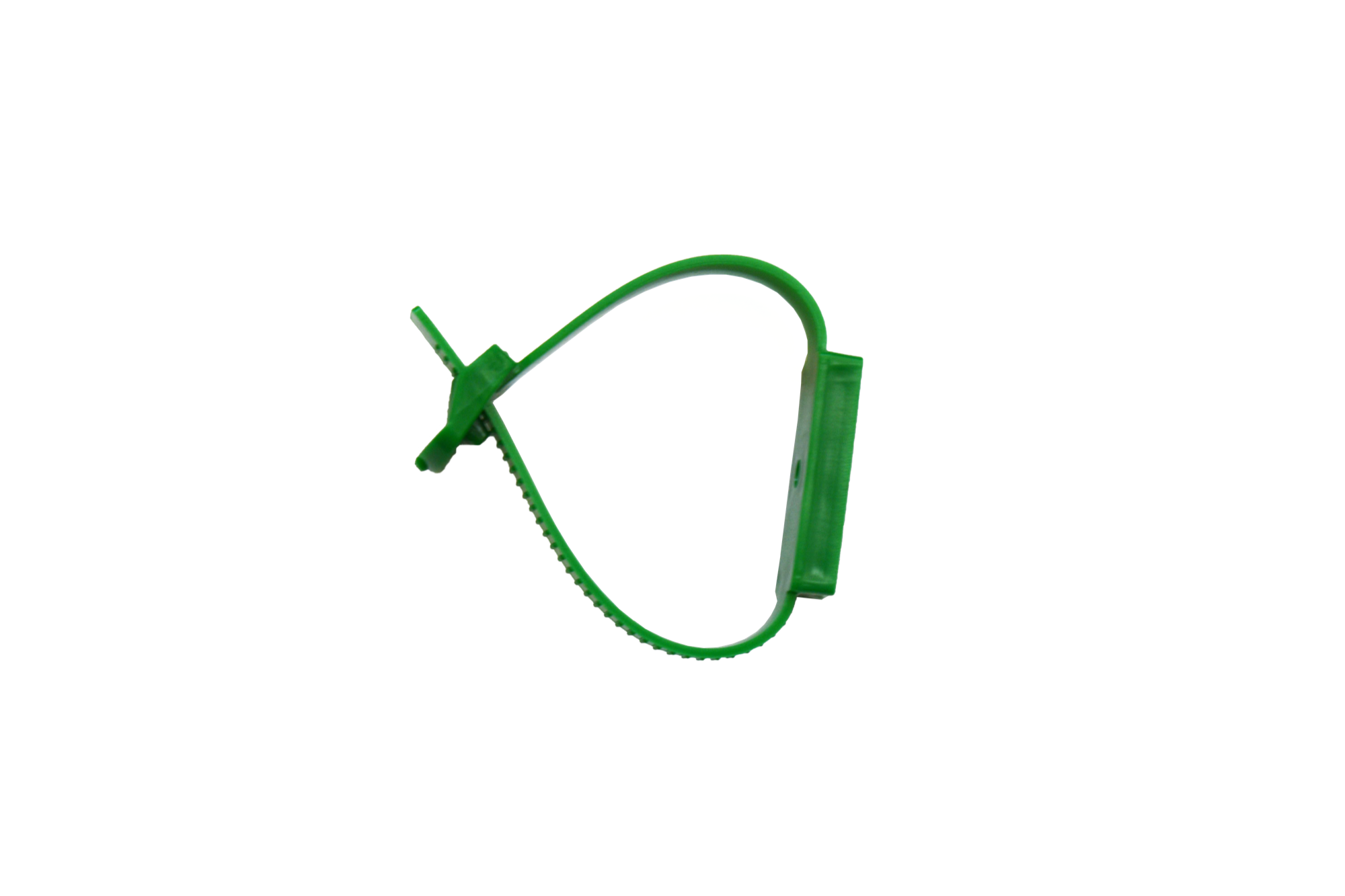 SCP_2.png