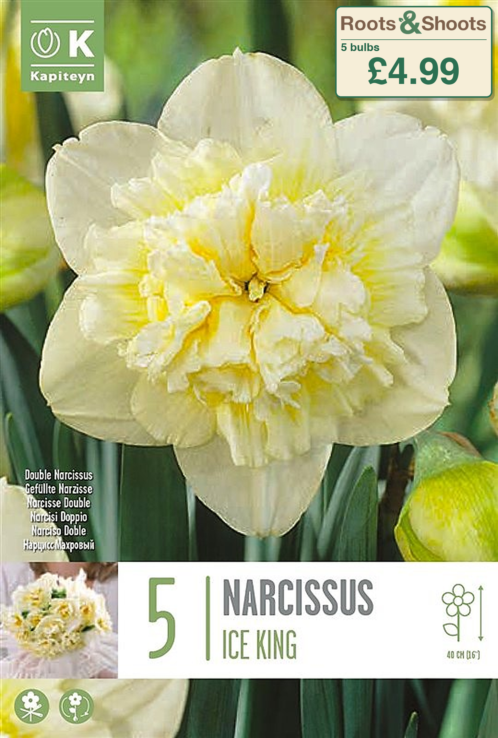 604205 - Narcissus double - ICE KING.png