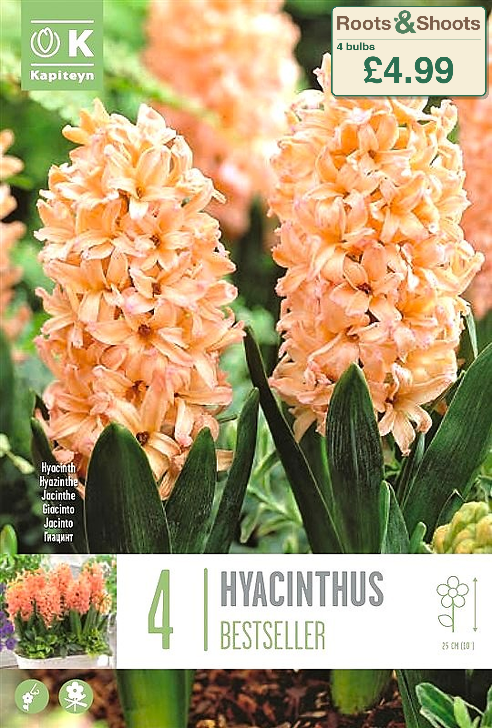 601035 - Hyacinthus - BESTSELLER.png