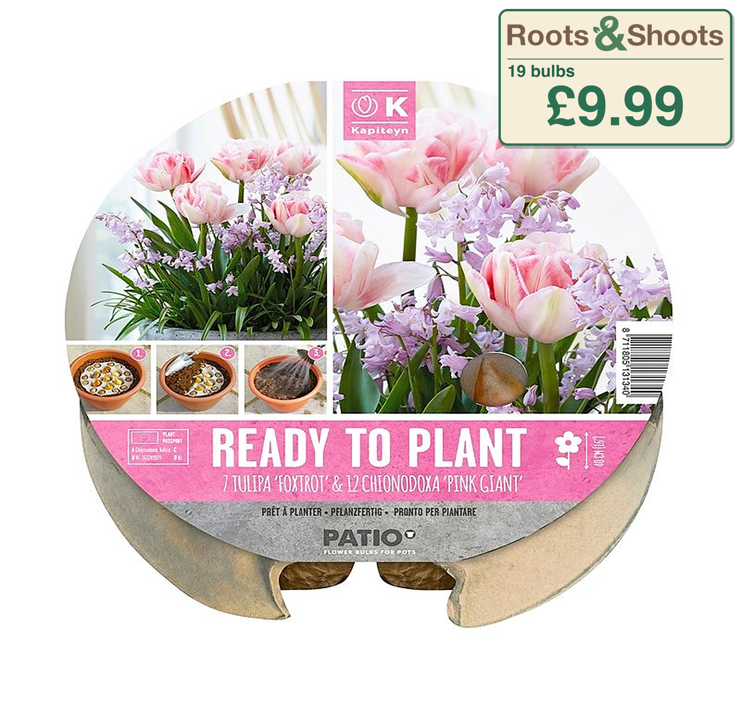 634207 - Small Plant-O-Mat - TULIPA & CHIONODOXA.png