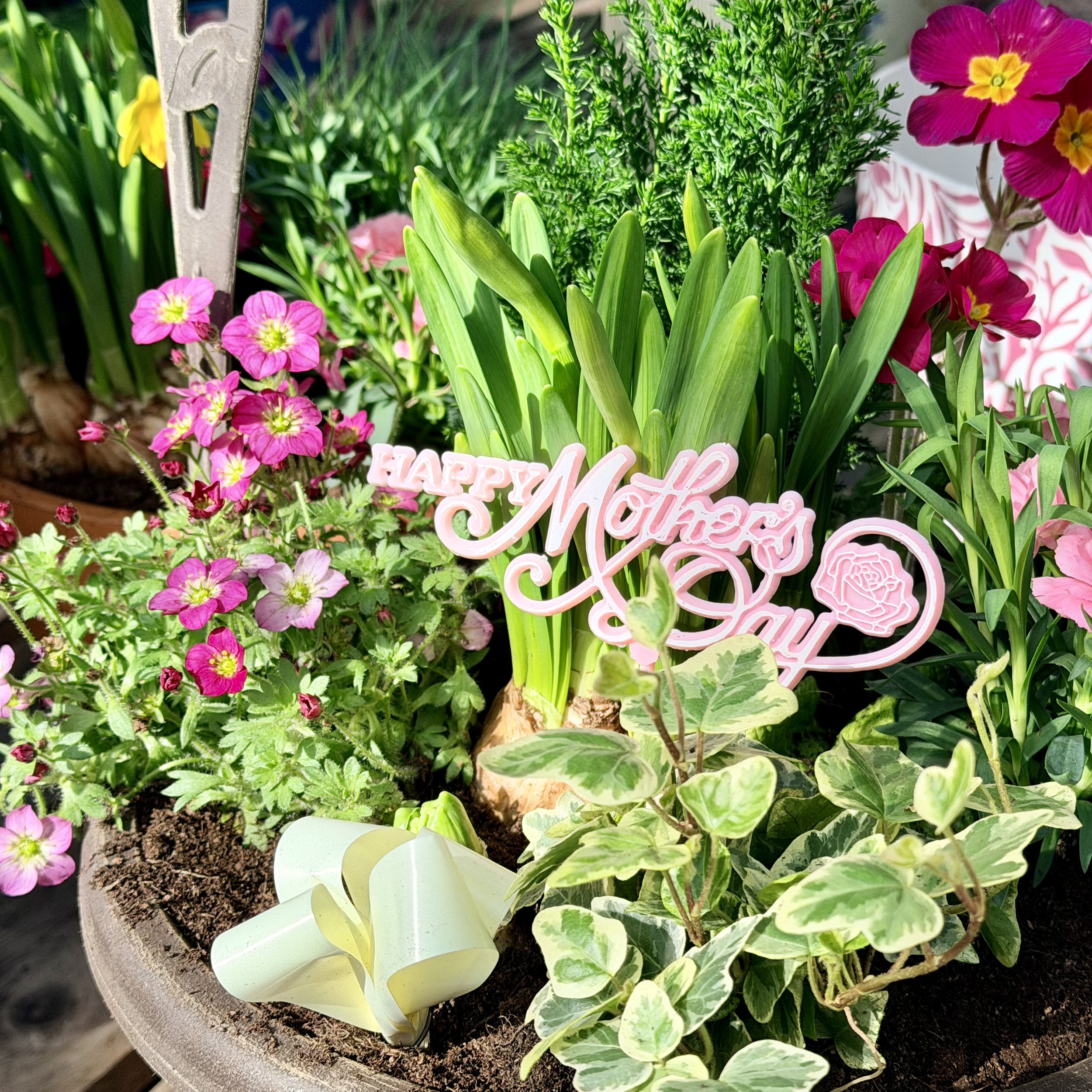 A hanging flower basket with pink, yellow, and purple flowers, green foliage, and a decorative pink 'Happy Mother's Day' sign among the plants.
