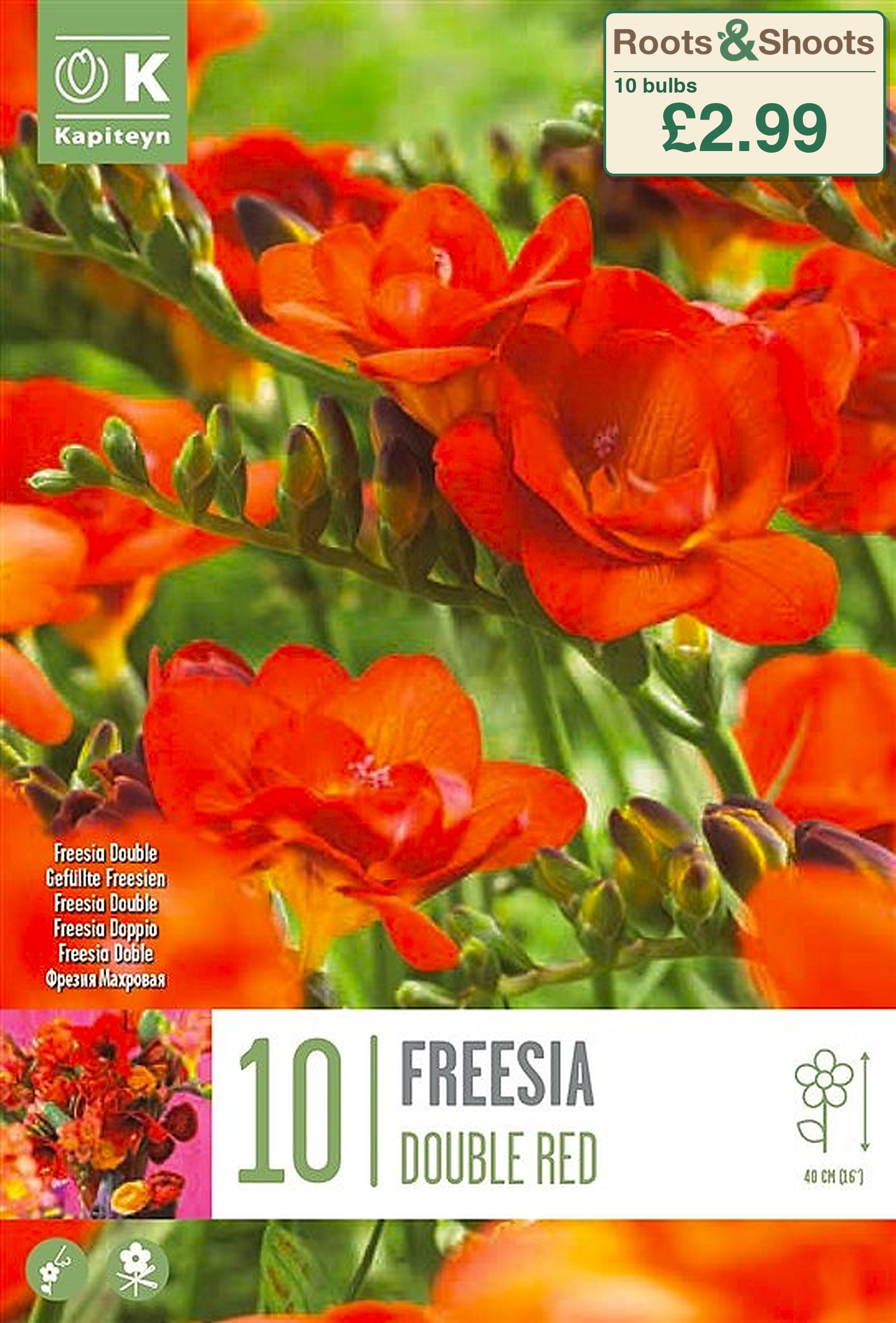 606090 - Freesia double - RED.png