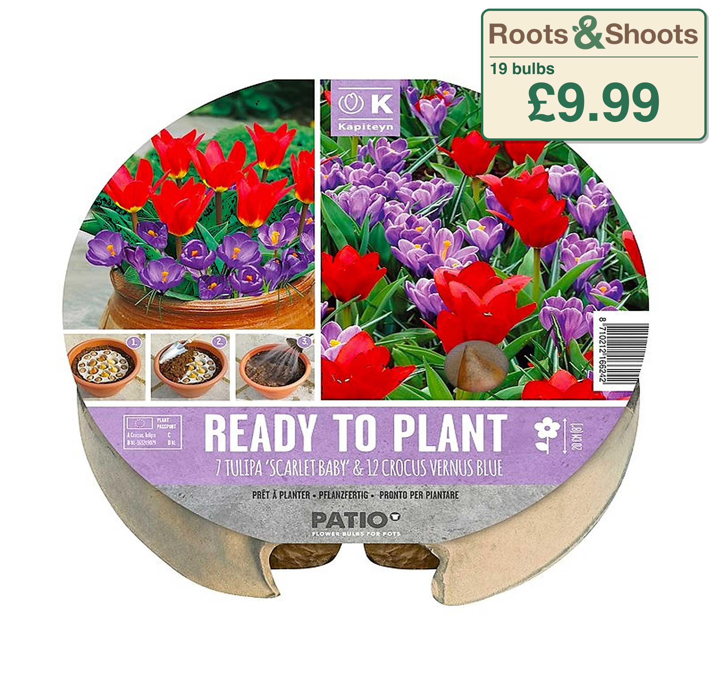 634204 - Small Plant-O-Mat - TULIPA & CROCUS.png