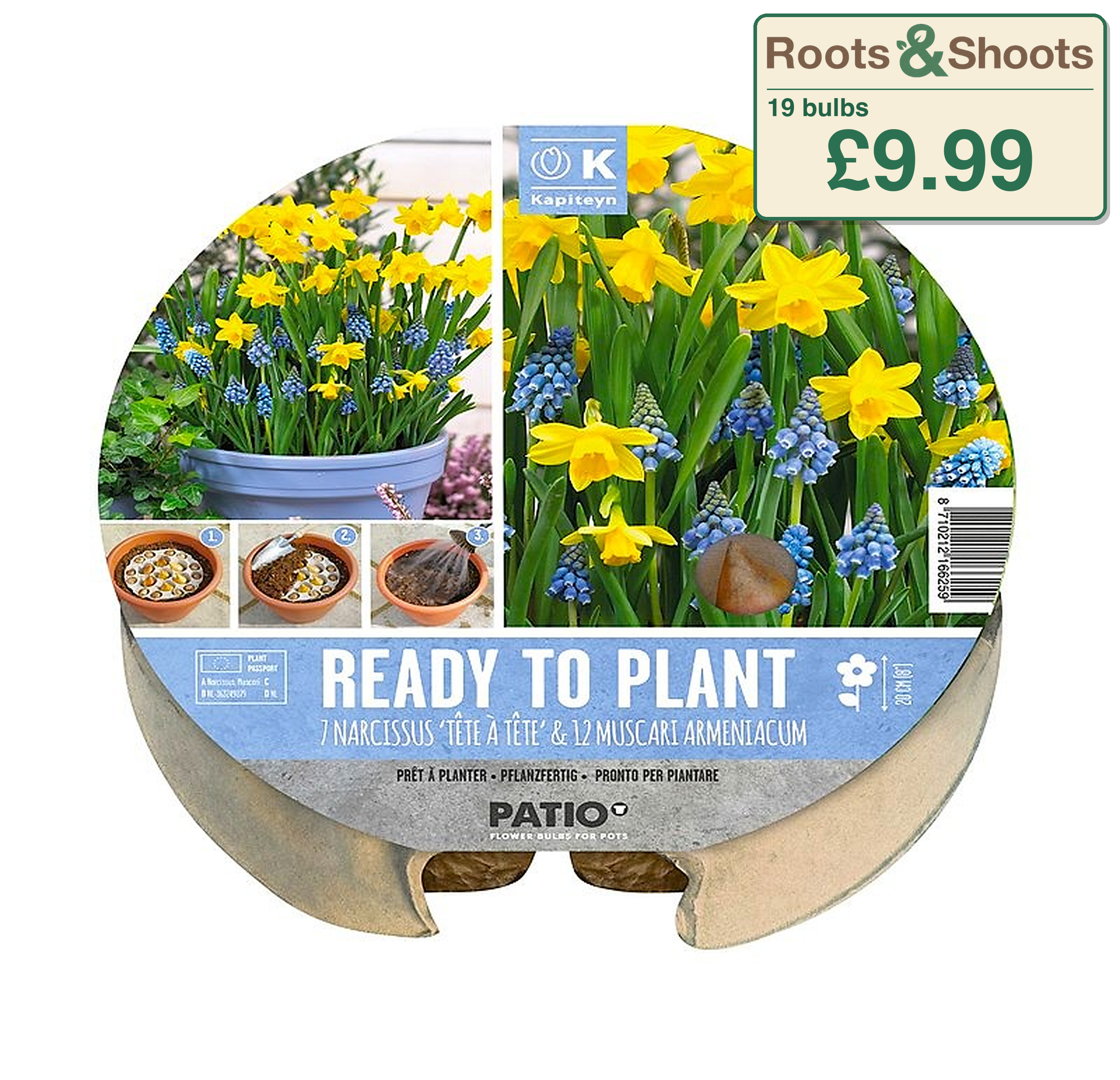 634210 - Small Plant-O-Mat - NARCISSUS & MUSCARI.png