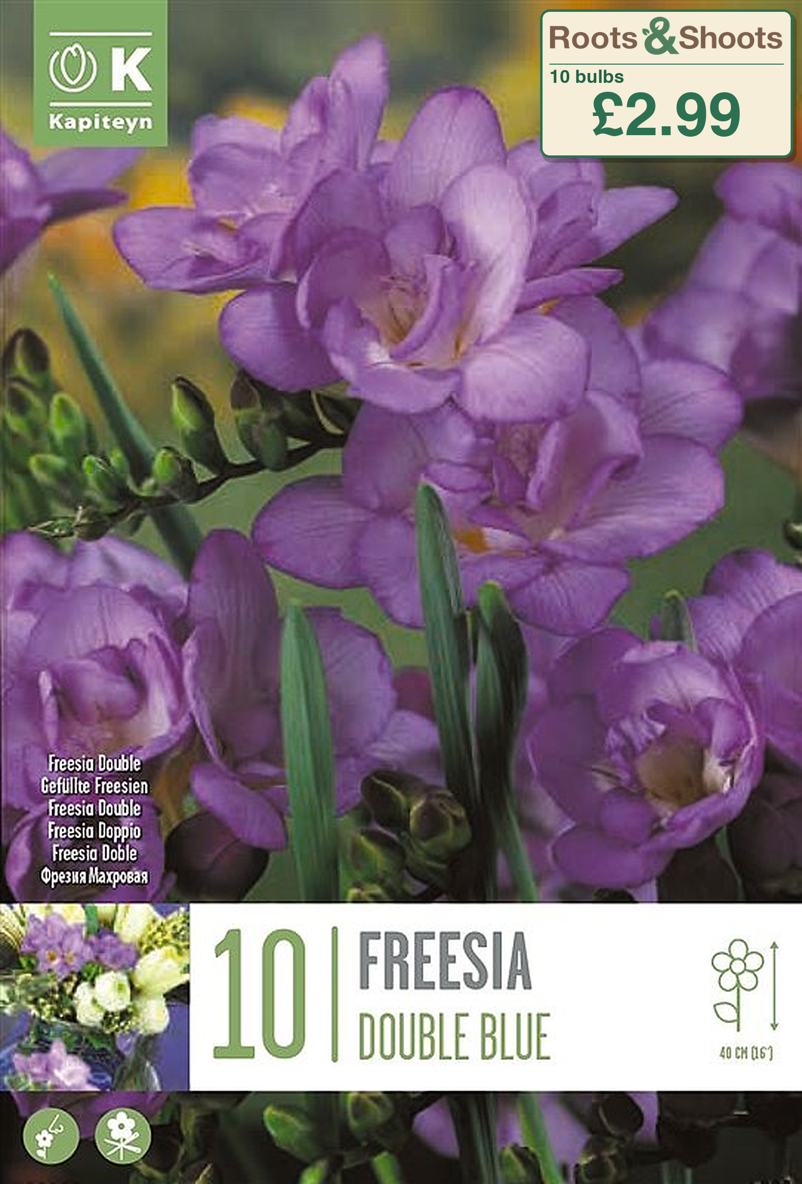 606080 - Freesia double - BLUE.png
