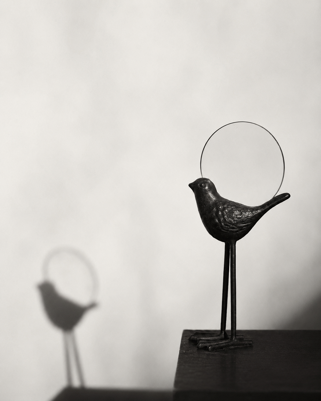 A black metal sculpture of a bird magnifying glass, casting a shadow on the wall behind it.
