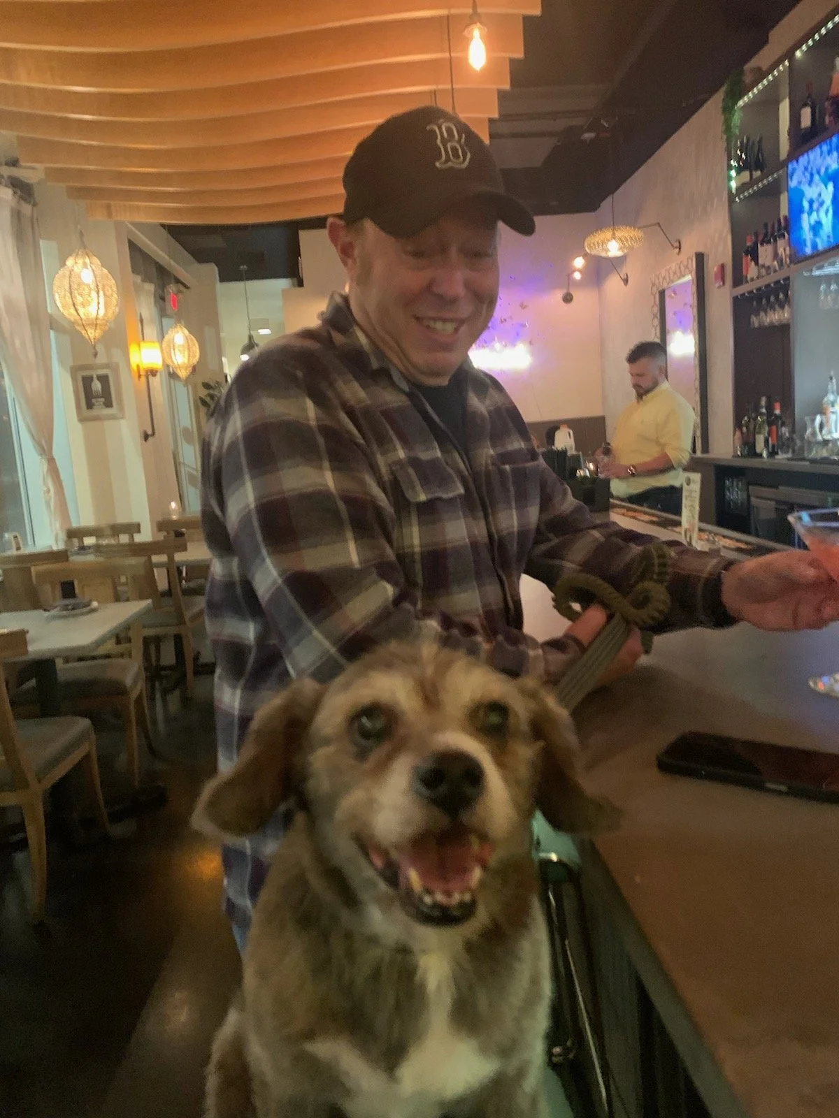 A smiling dog with a brown and white coat in the foreground. Behind the dog, a man wearing a plaid shirt and a black baseball cap is smiling and holding a book or menu. The scene takes place in a warmly lit restaurant or bar, with a bartender and bar area visible in the background.