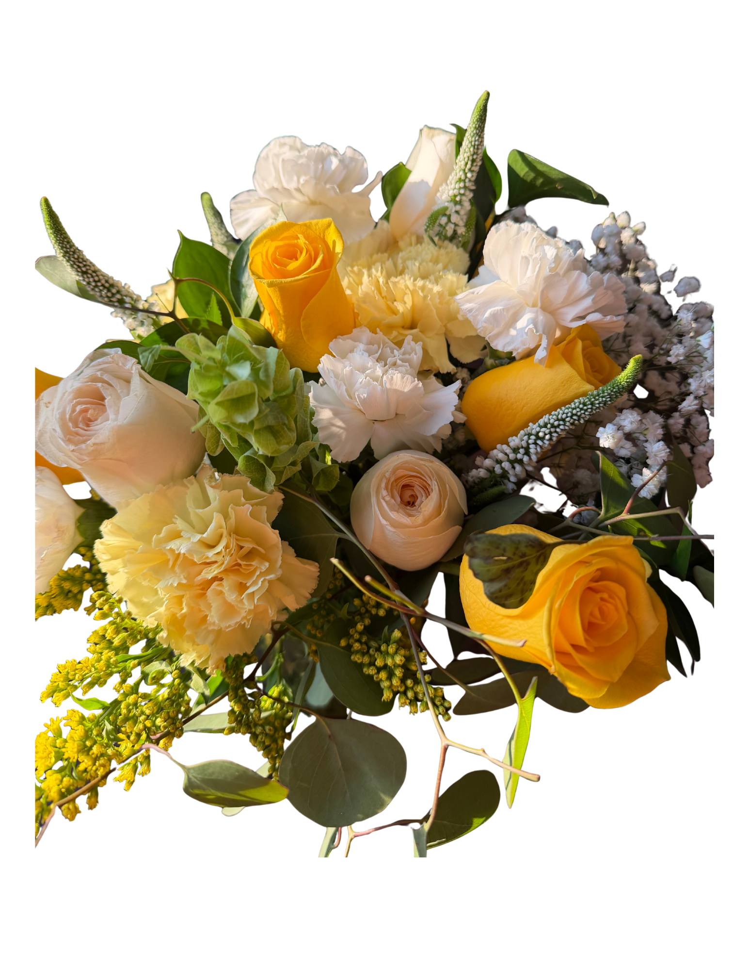Untitled design (13).png