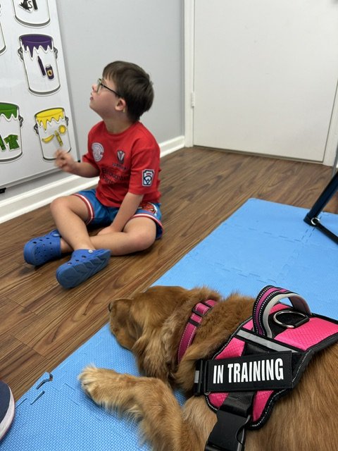A young boy with glasses sitting on the floor in a room, looking at paint cans on the wall, with a dog lying on the blue mat nearby. The dog is wearing a training vest labeled 'In Training'. Therapy session at The Speech Clinic of the Coastal Empire.