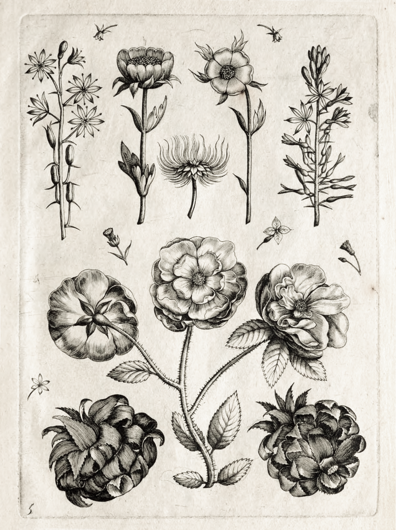 page from a florigium