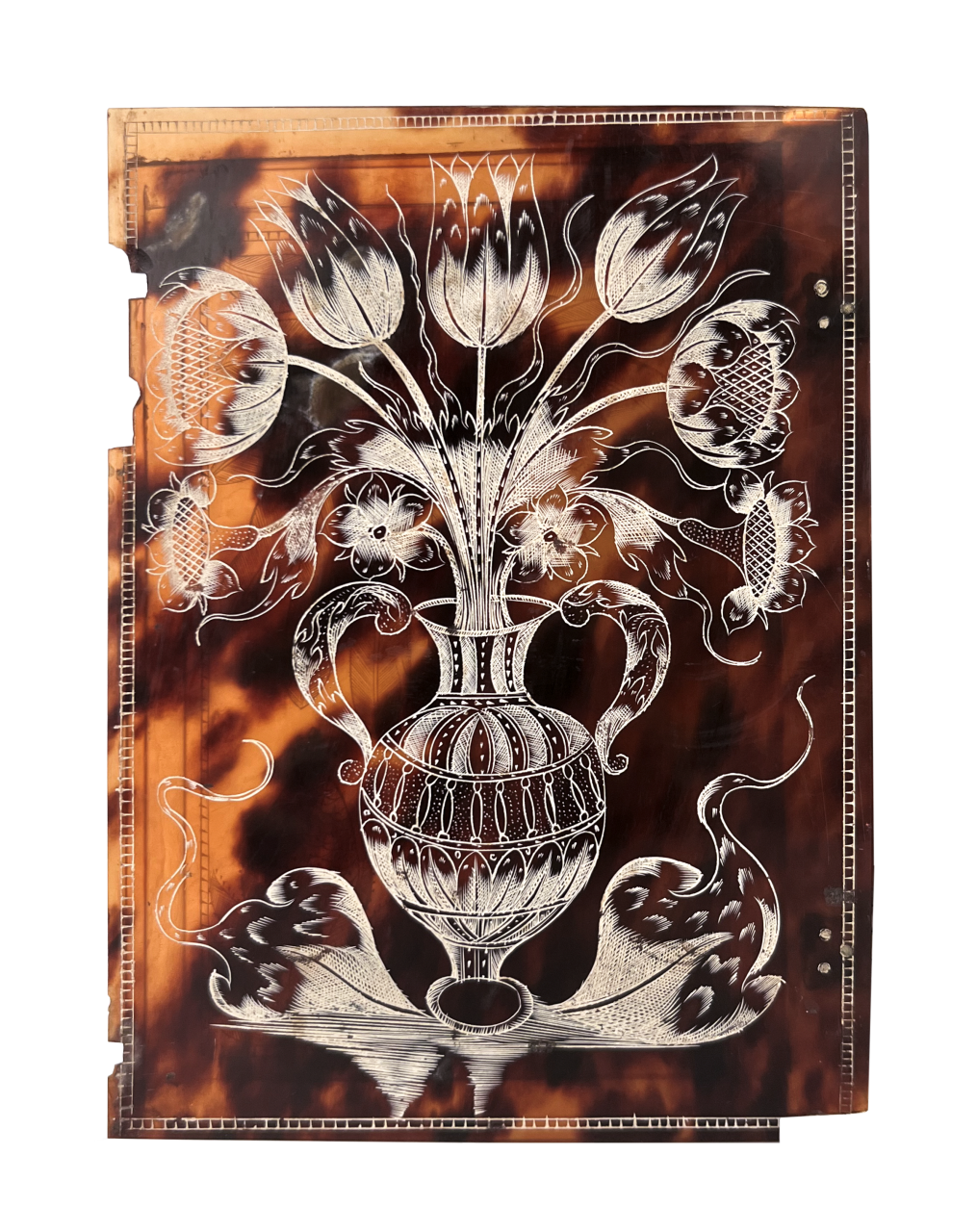 Jamaican tortoiseshell table cabinet inside door