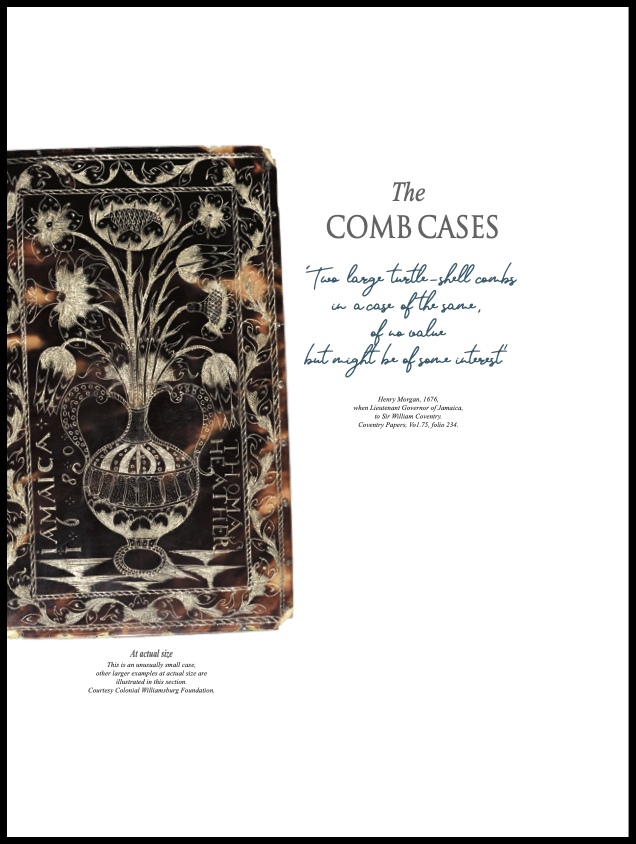 Jamaican Tortoiseshell Comb Cases chapter opener