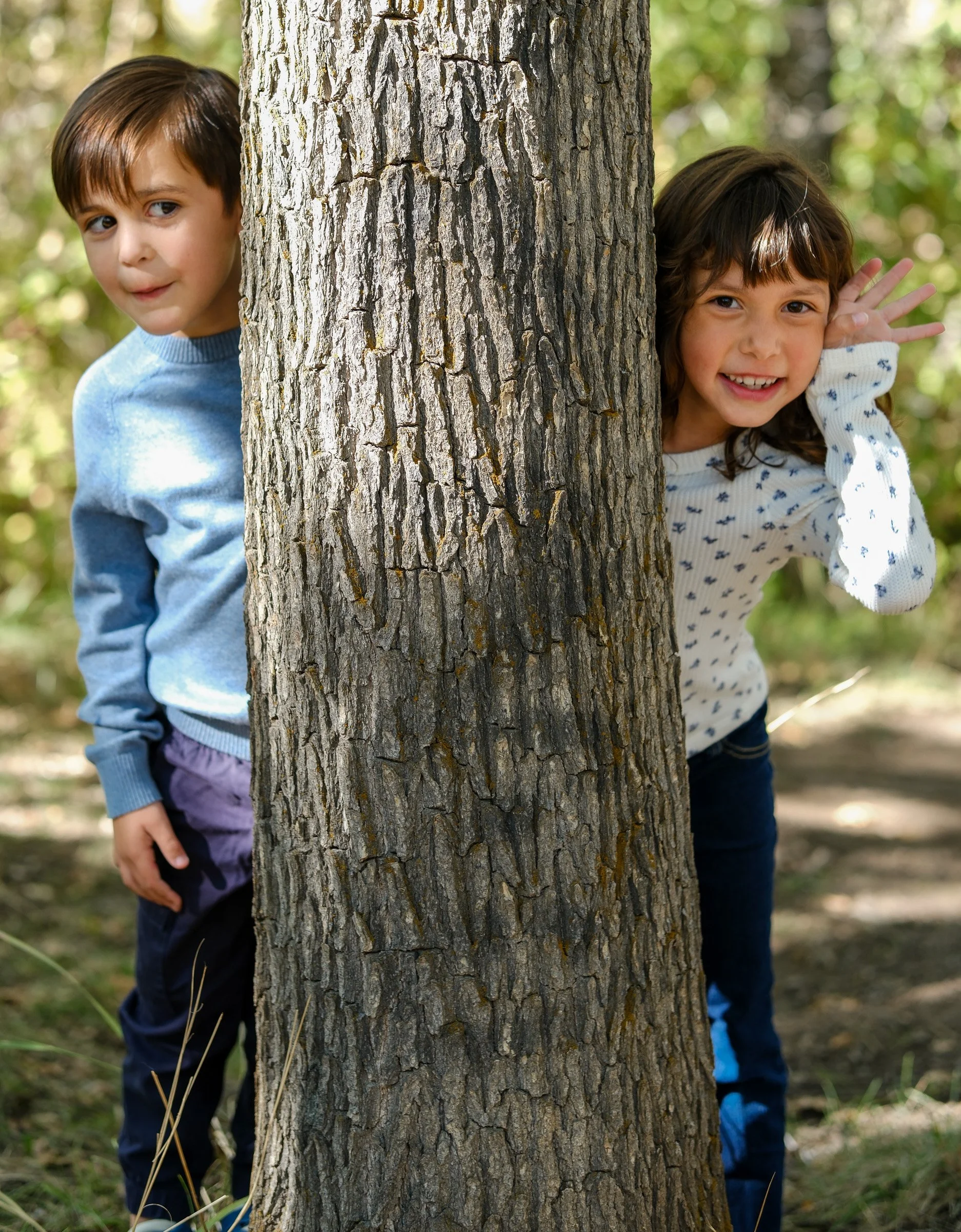 Two children playing hide and seek behind a tree in a wooded area.