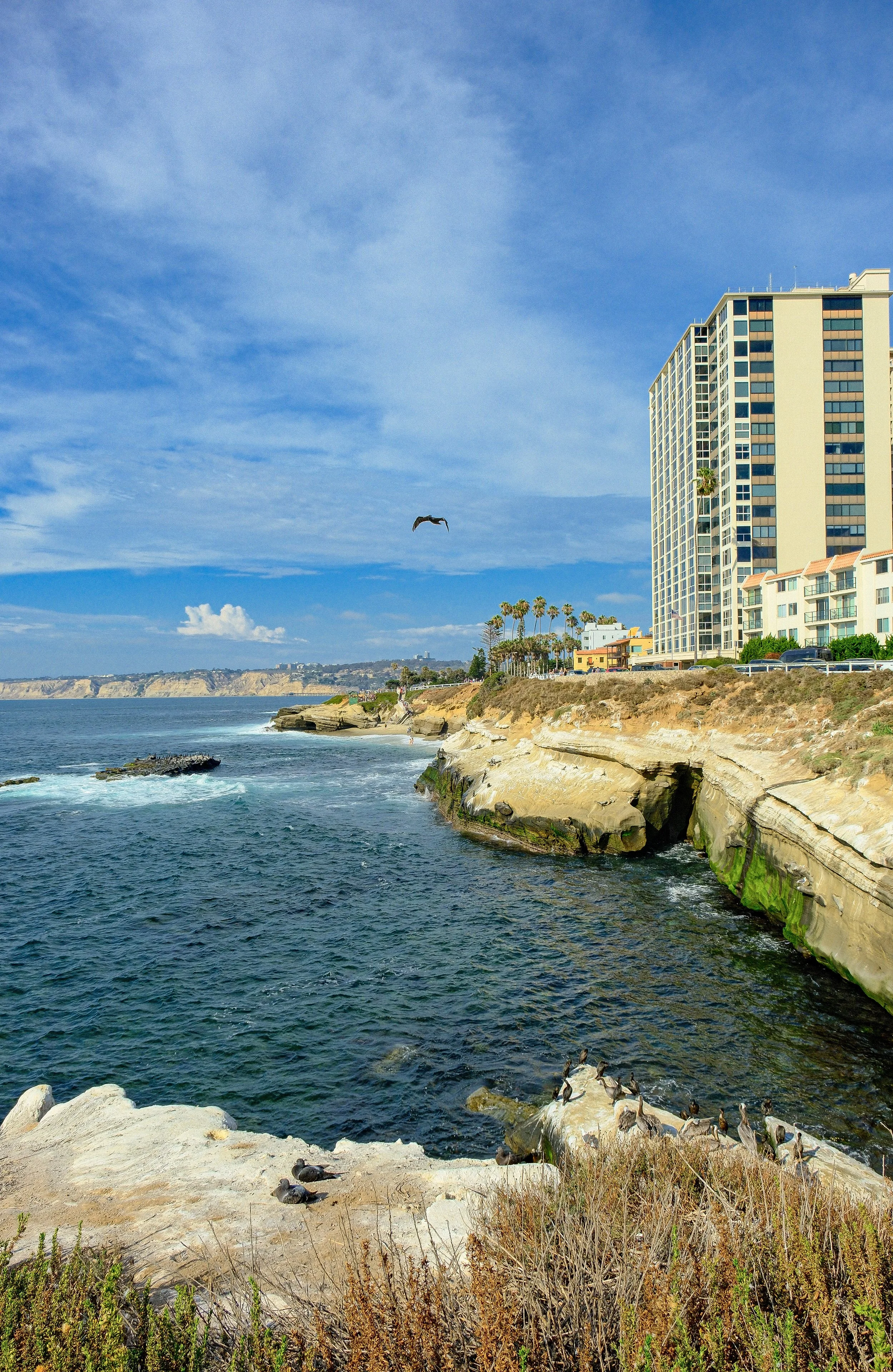 LA-JOLLA-SEA-CAVES-RYAN-TERRY-PHOTO.JPG