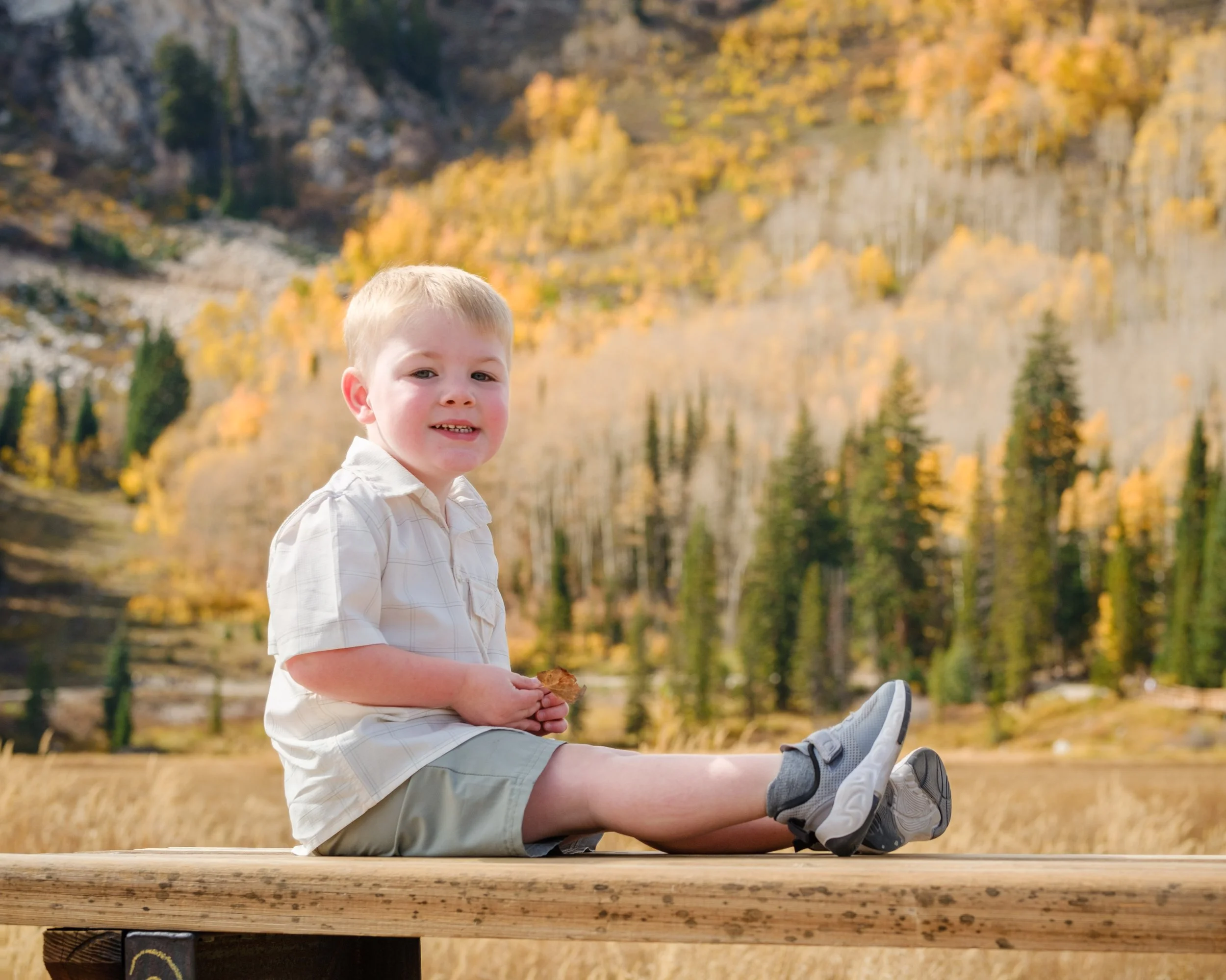 Young boy with blonde hair sitting outdoors on a wooden platform, holding a leaf, with a background of autumn trees and a mountain landscape.