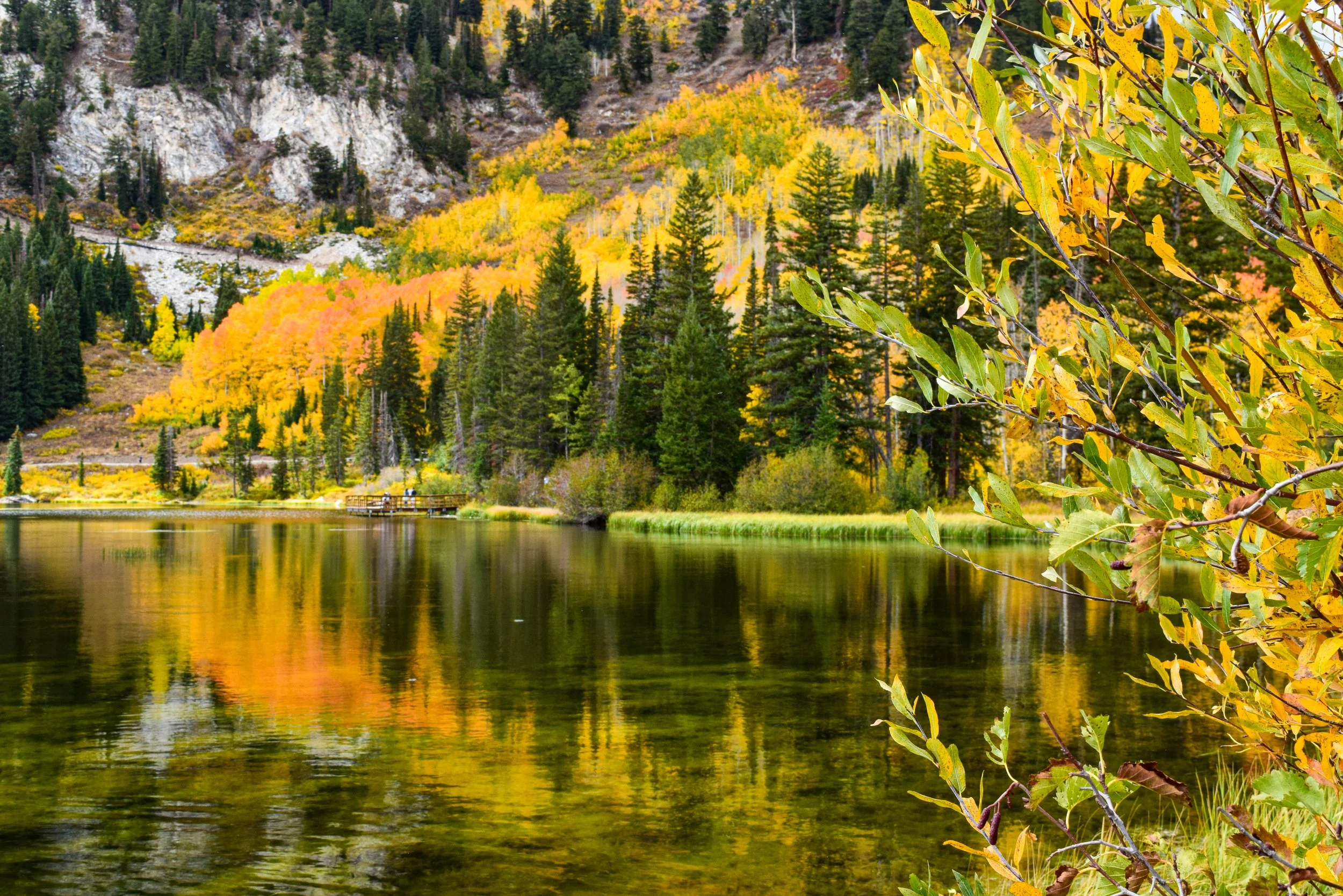 Autumn Reflections at Silver Lake — Digital Download